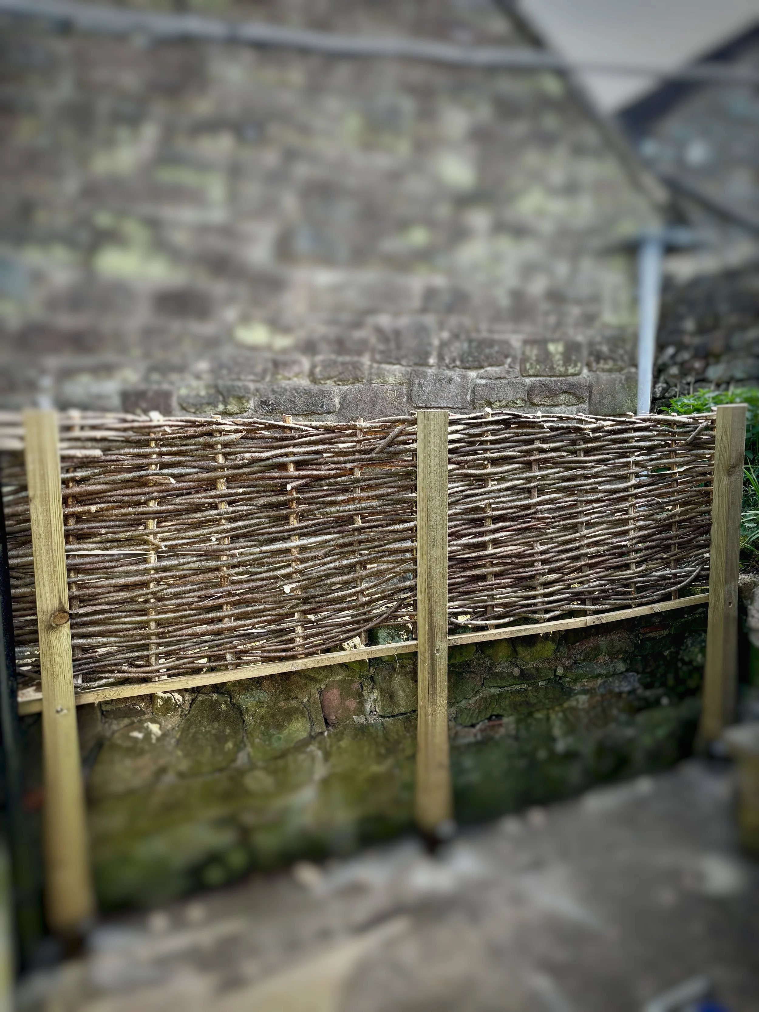 Hazel Hurdles to retain some privacy over a low stone wall
