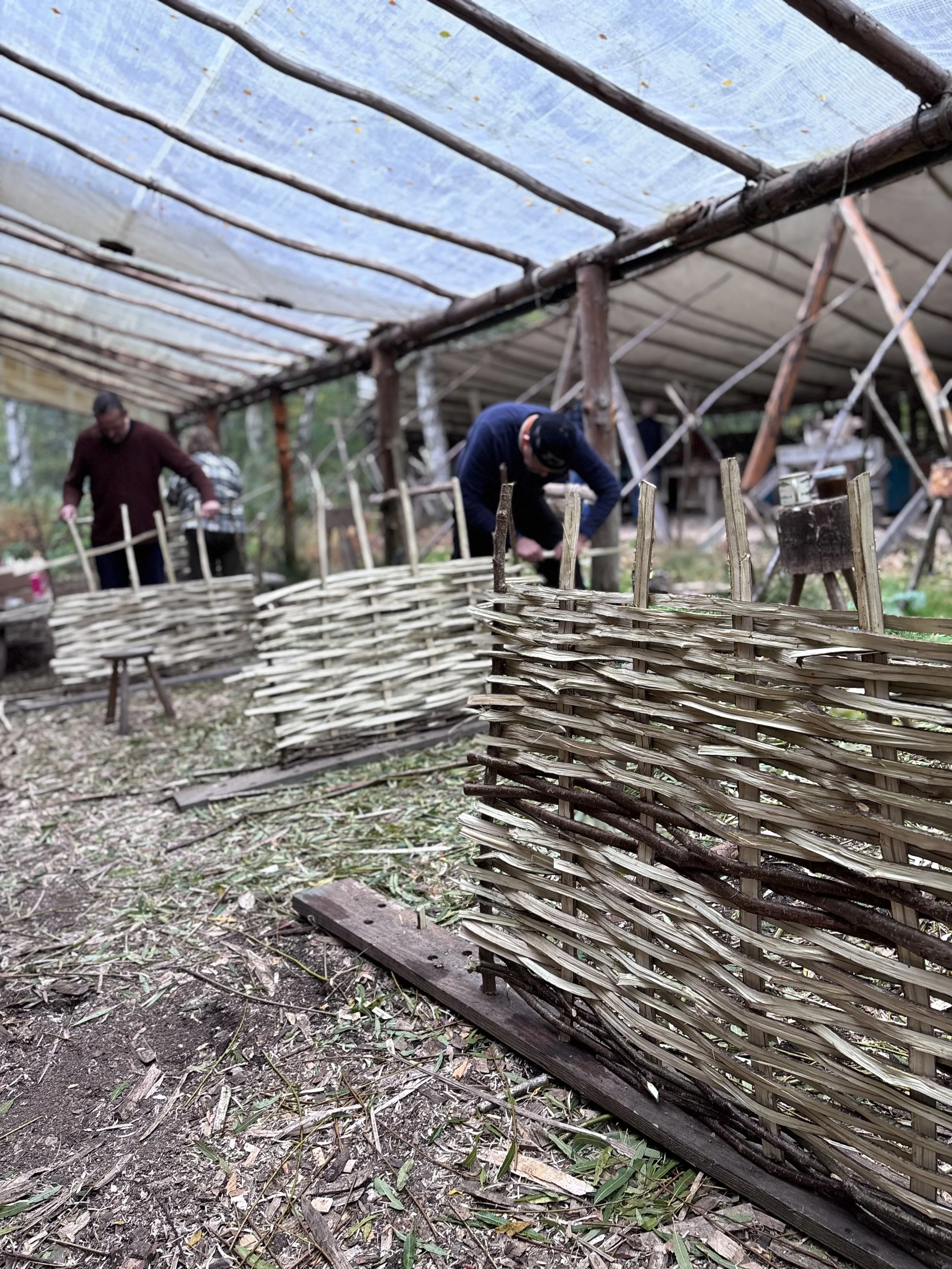A mass of productive novice hurdle makers