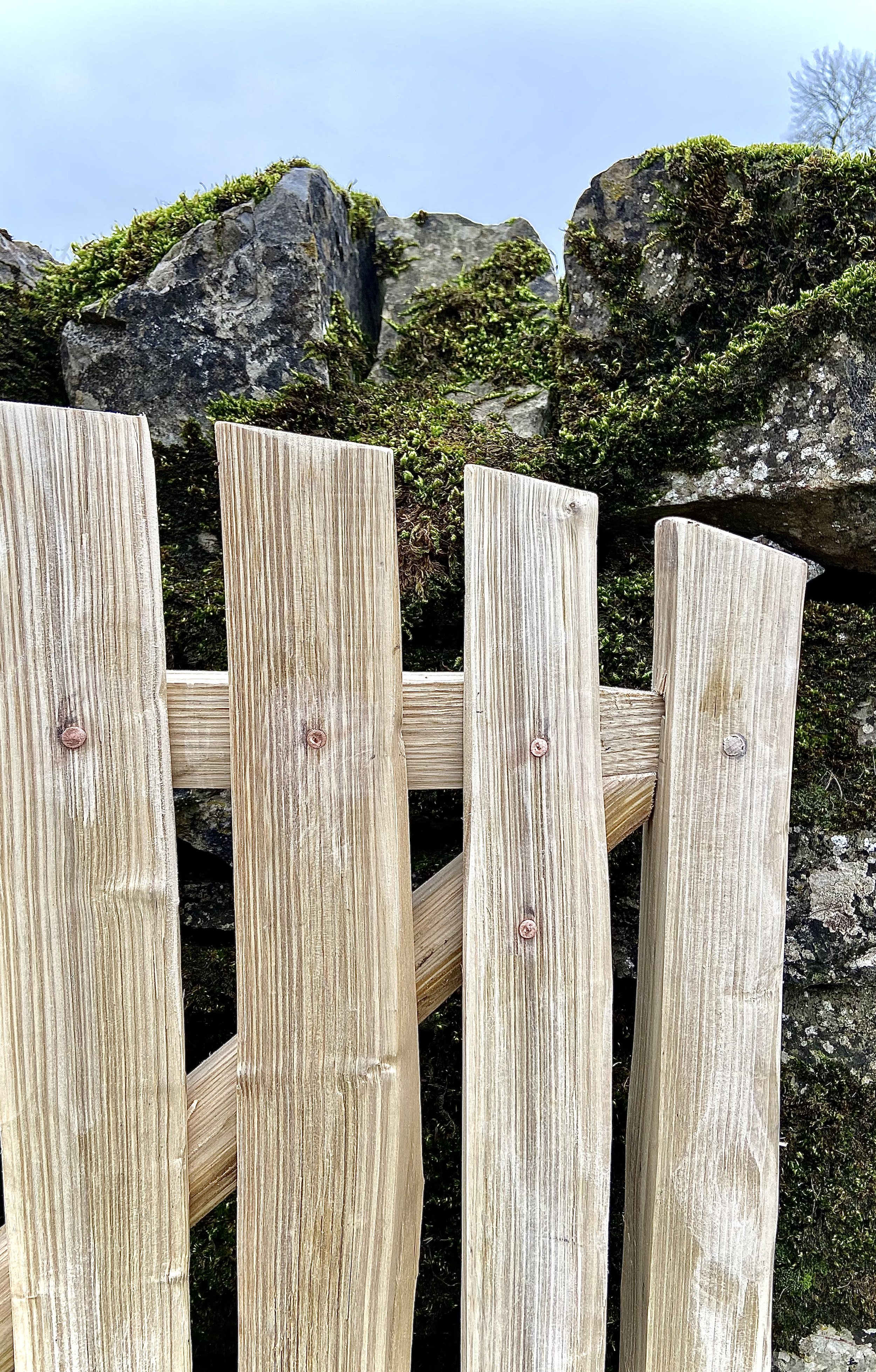Copper rose head nails on all sweet chestnut gates