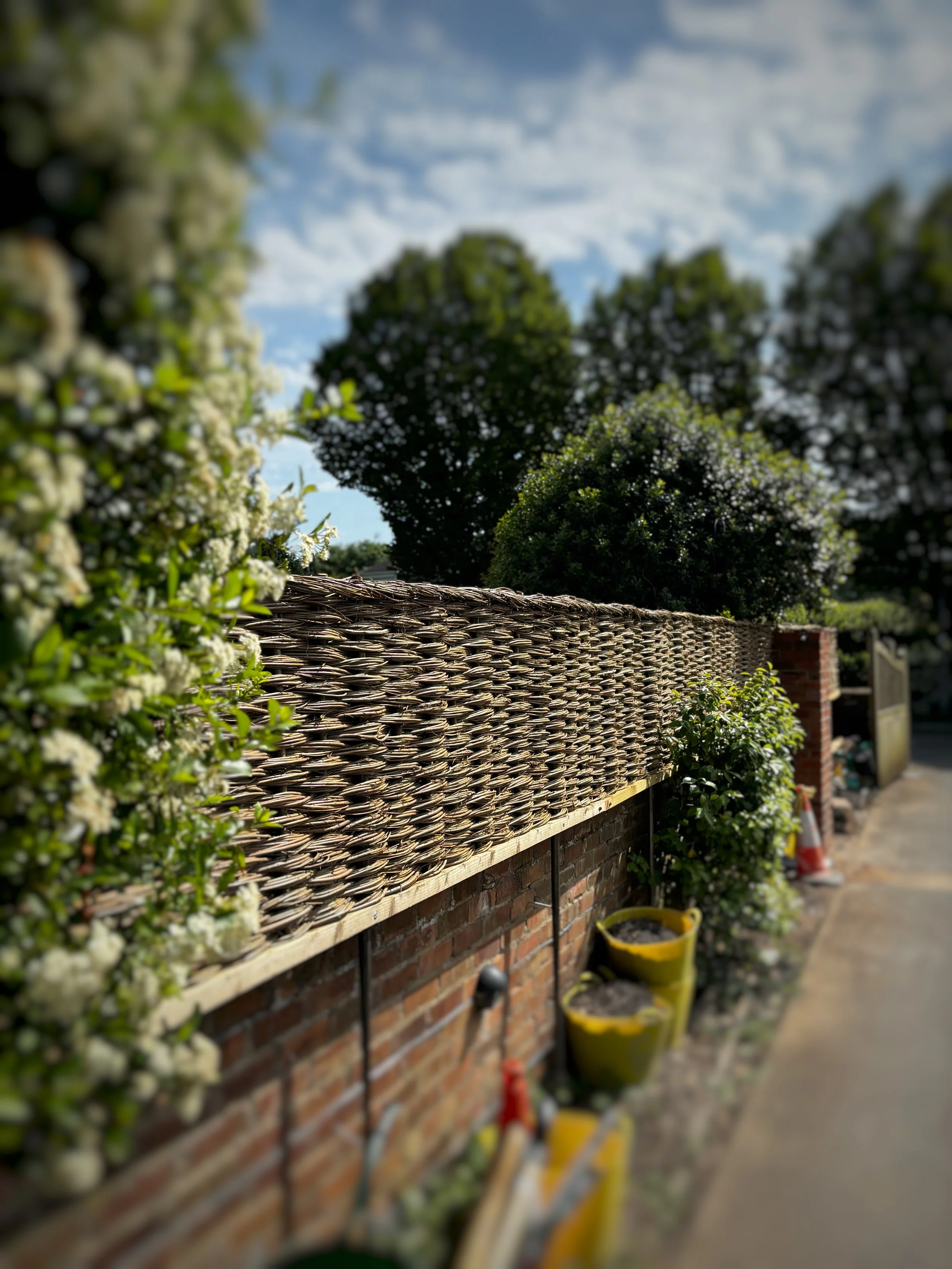 Additional height on a low garden wall