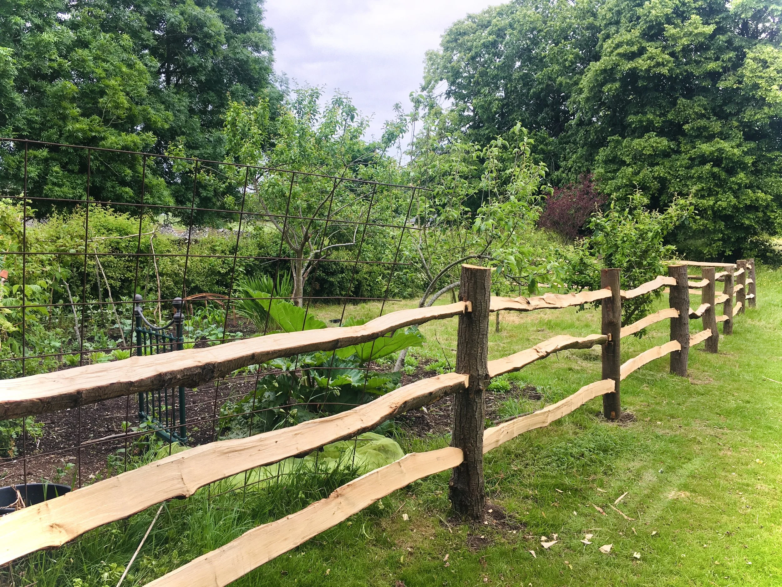 Cleft Chestnut Post & Rail