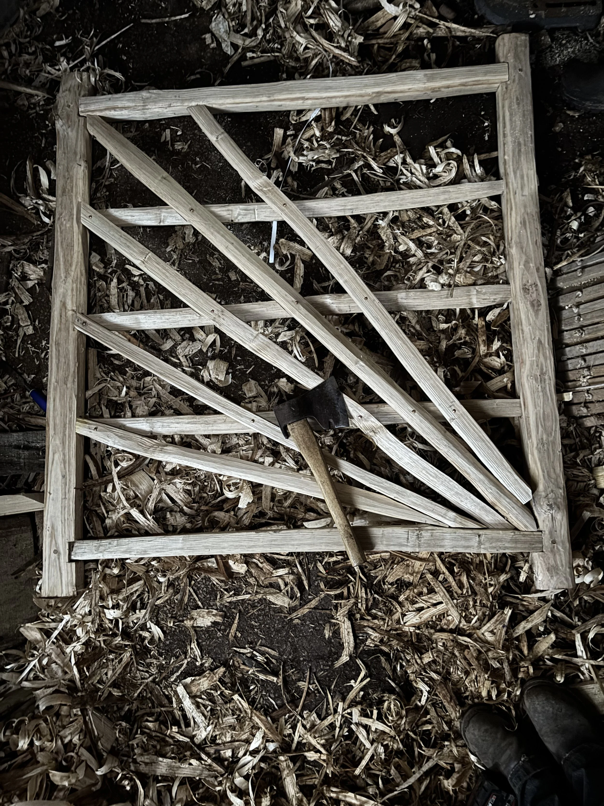 Cleft chestnut 'sunburst' gate