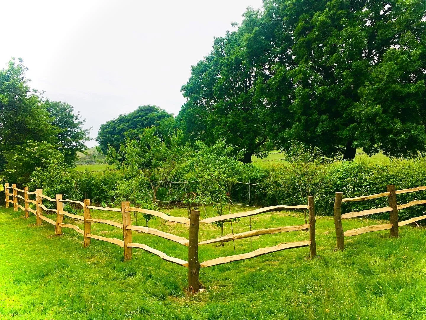 Cleft Chestnut Post & Rail