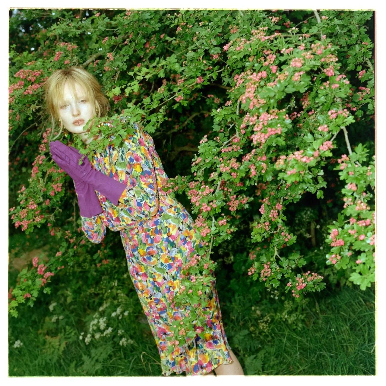 Charlie Lockyer , 2026