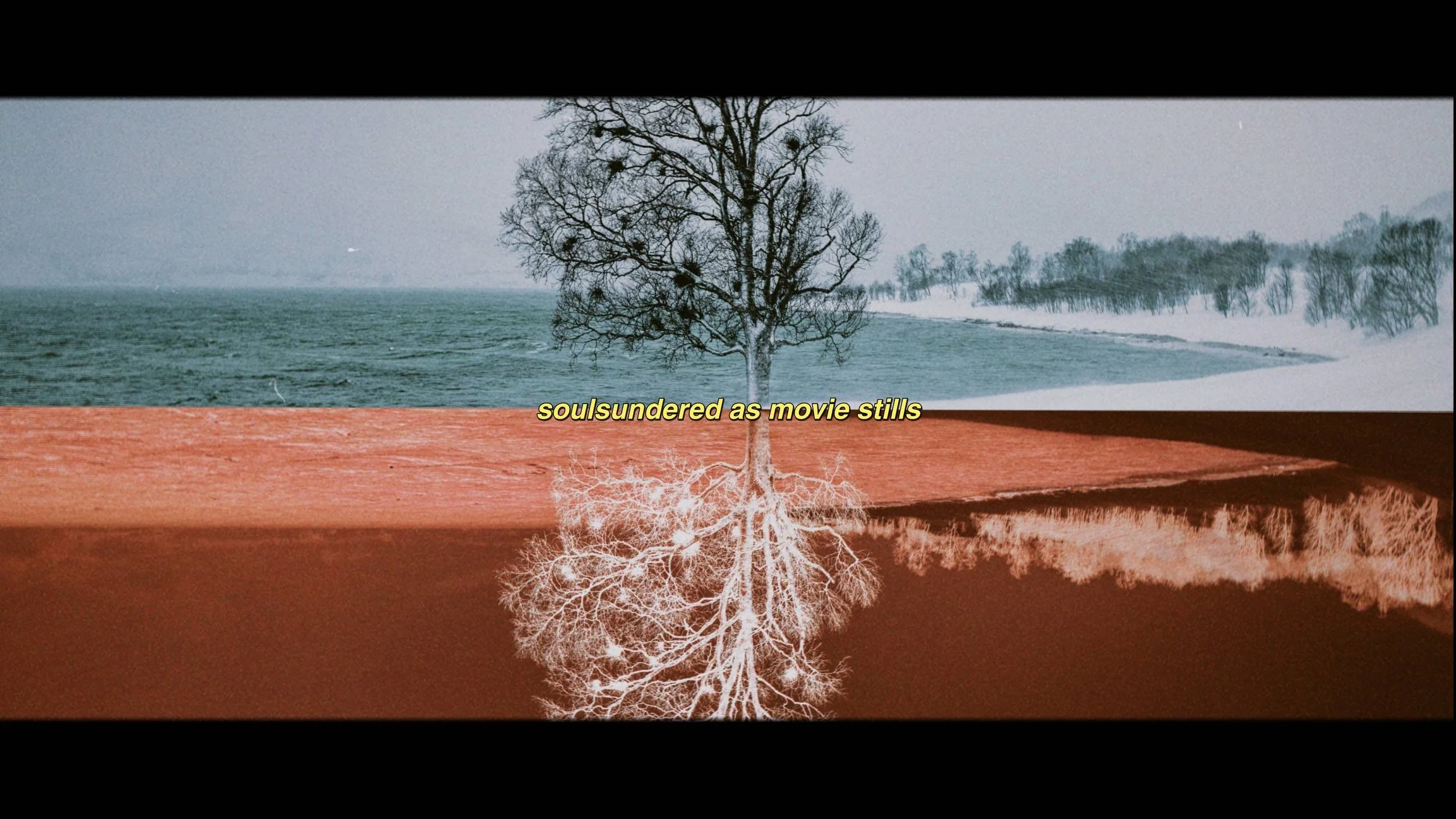 Soulsundered as movie stills 🙂&zwj;↕️

My ultimate DREAM would be to have this novel made into either an A24 or NEON horror film. I think it fits their vibes so well. Just throwing that out into the universe. I may have already casted it too, whoops