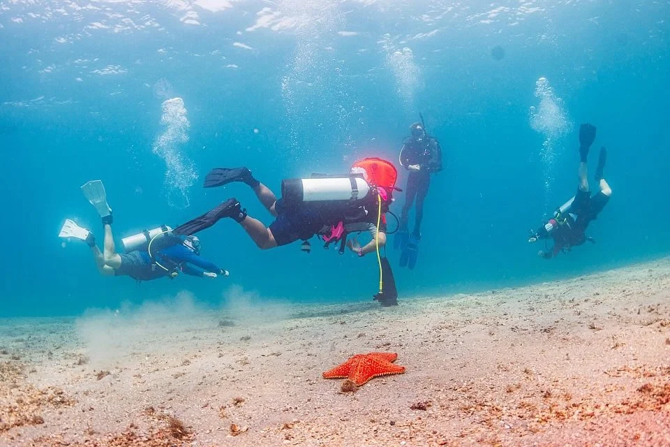 May Recap of diving adventures. #pvdpro #scuba #scubadiving #blueheronbridge