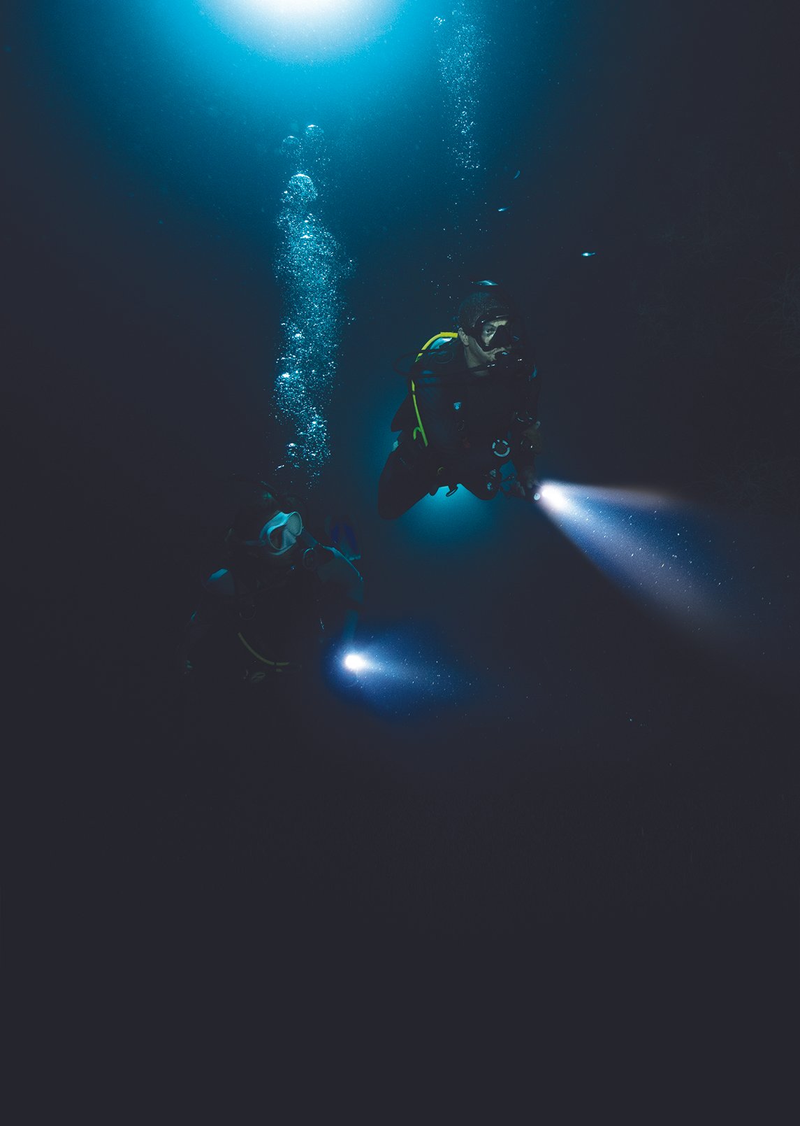 Night Diver (Private Class)