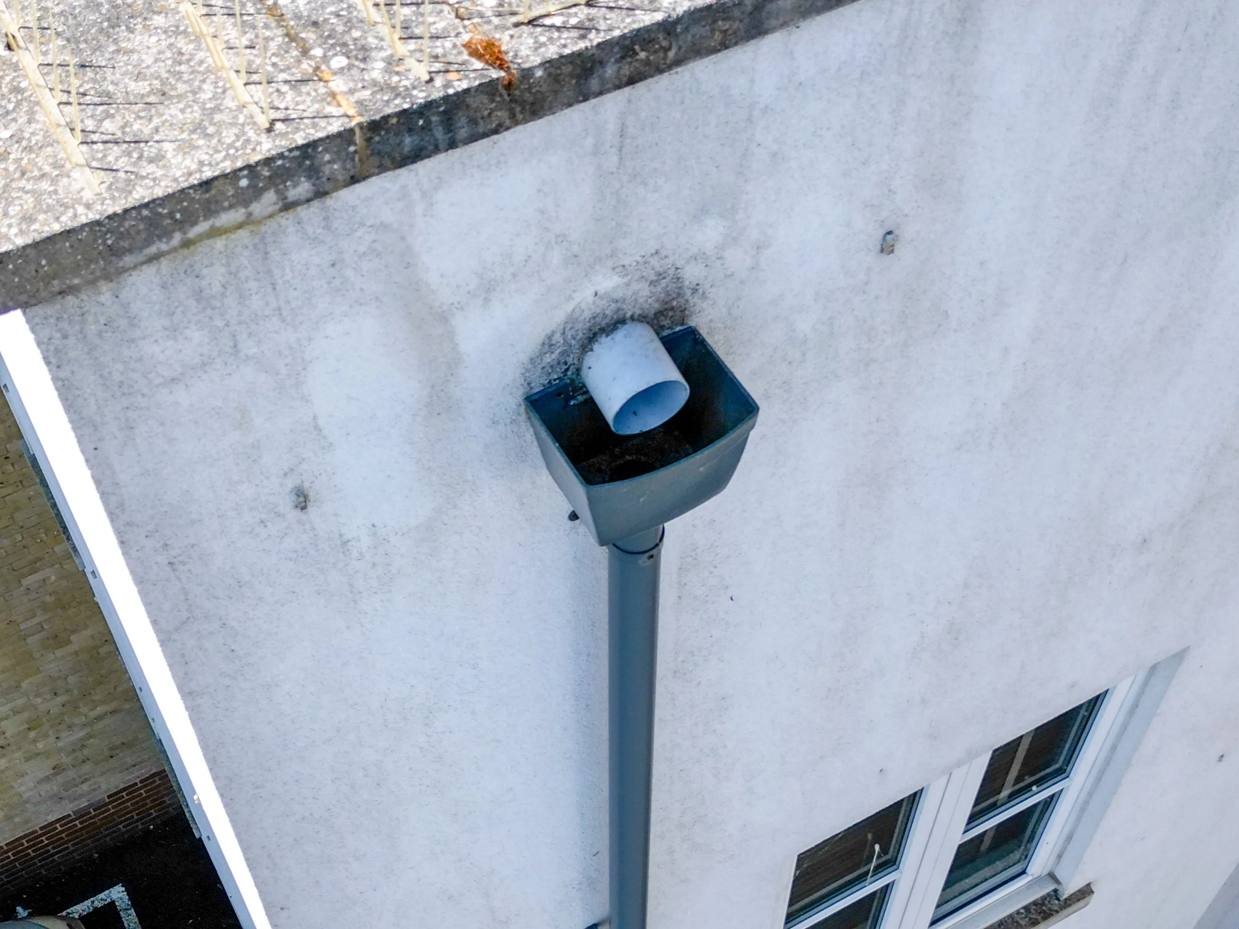 DJI_0088.jpg