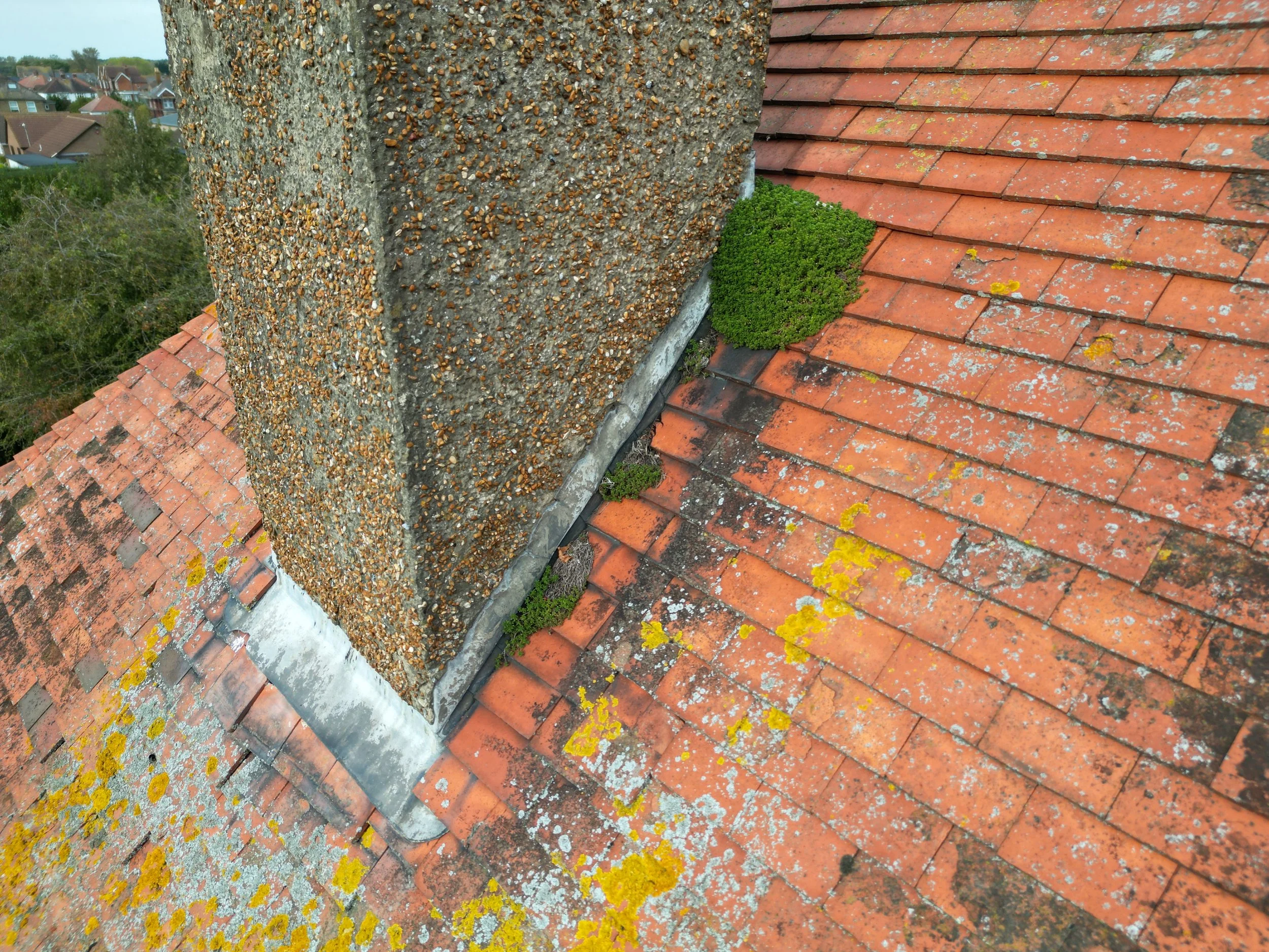 DJI_0054.JPG