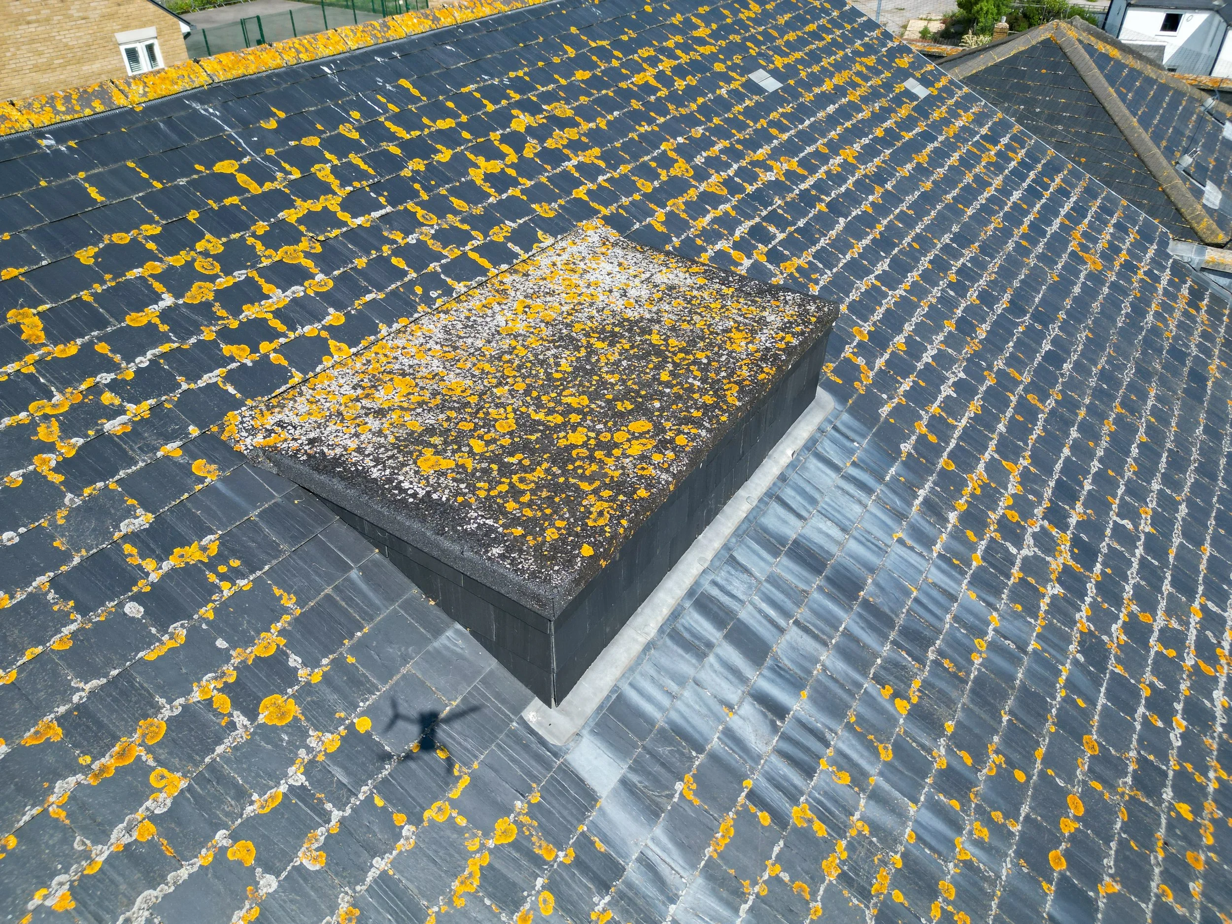 DJI_0098.jpg