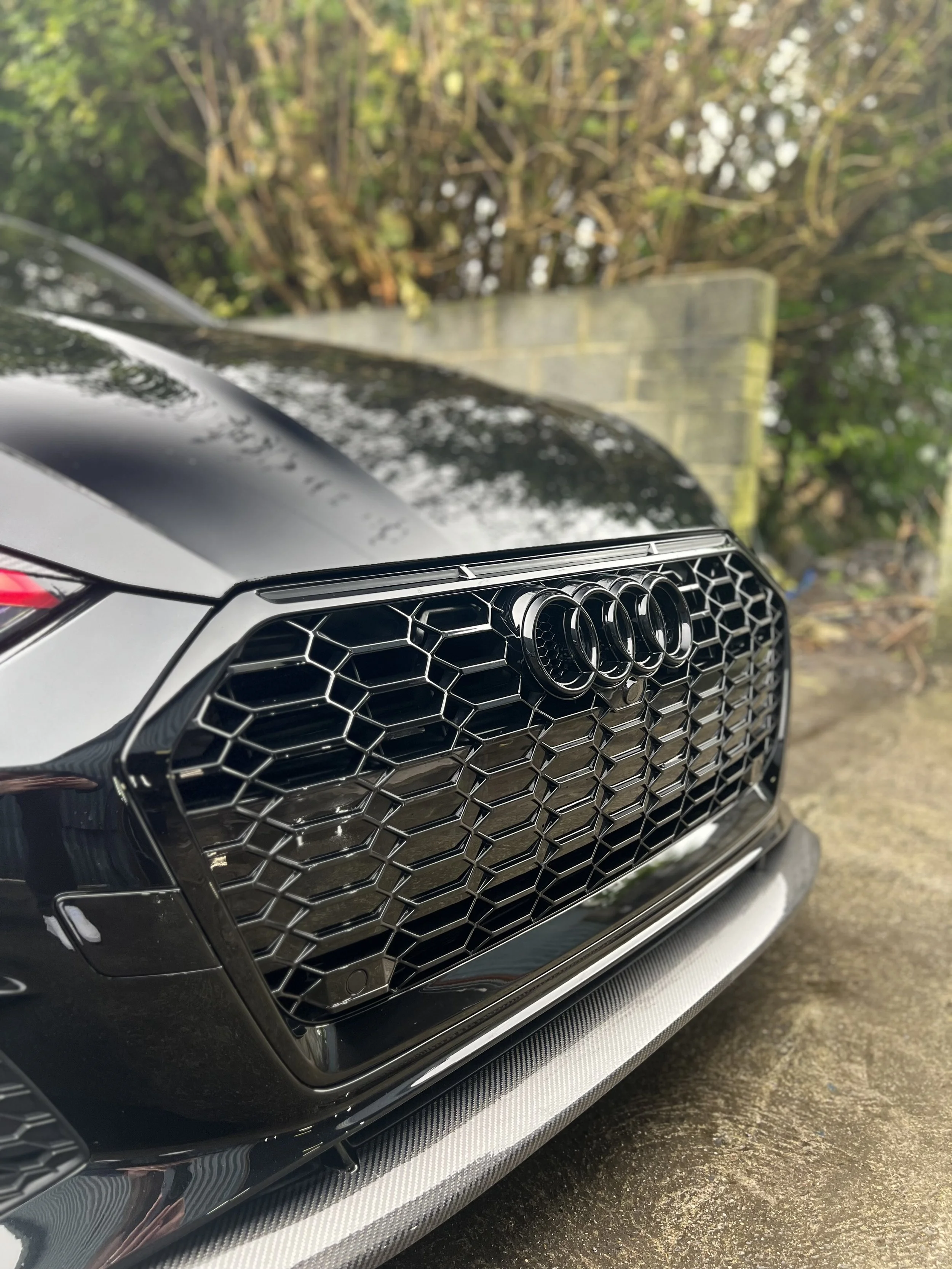 Ceramic coated Audi honeycomb grill | Ceramic coating | KR Auto Detailing 