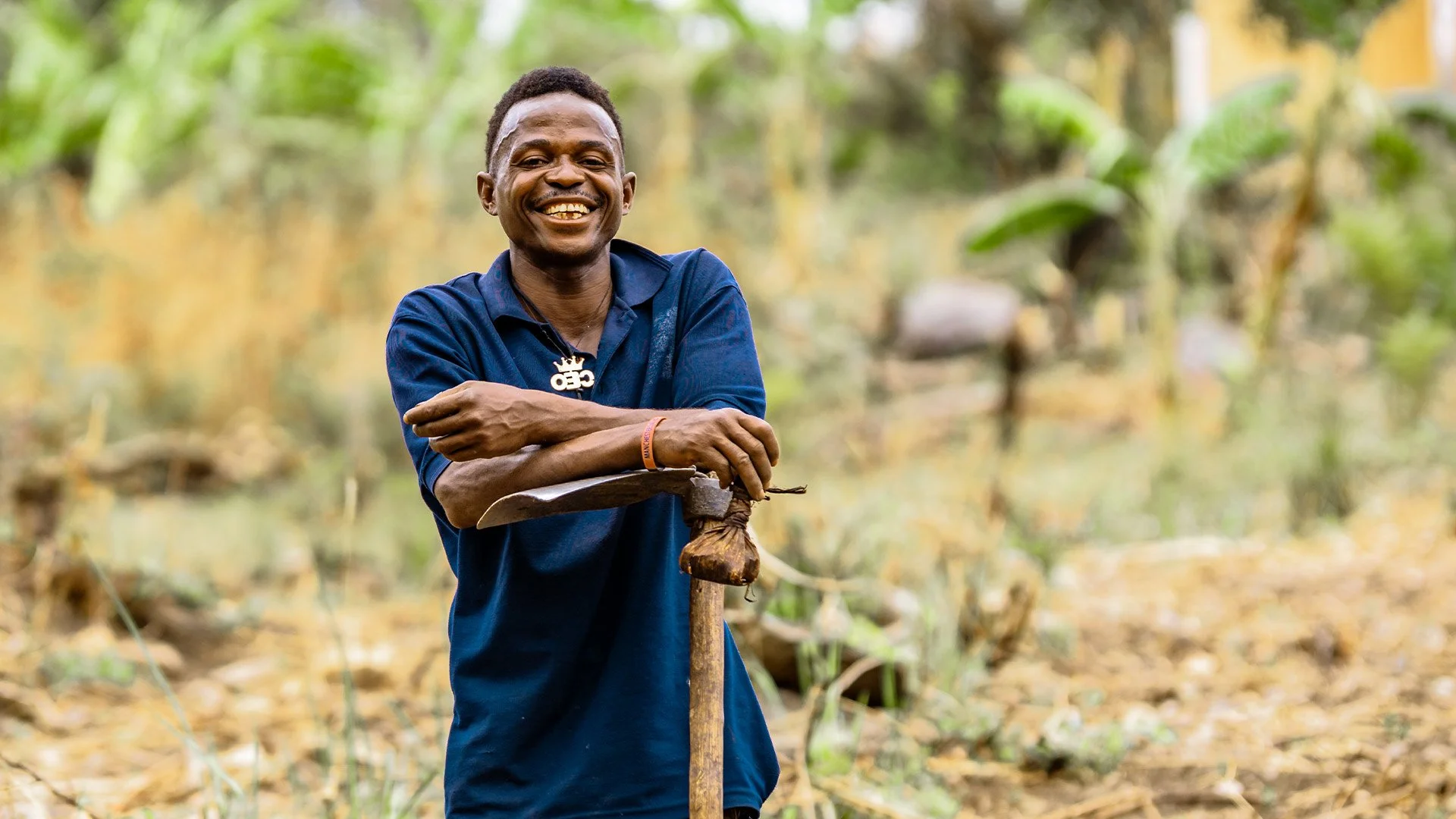 From the Forest to Farming