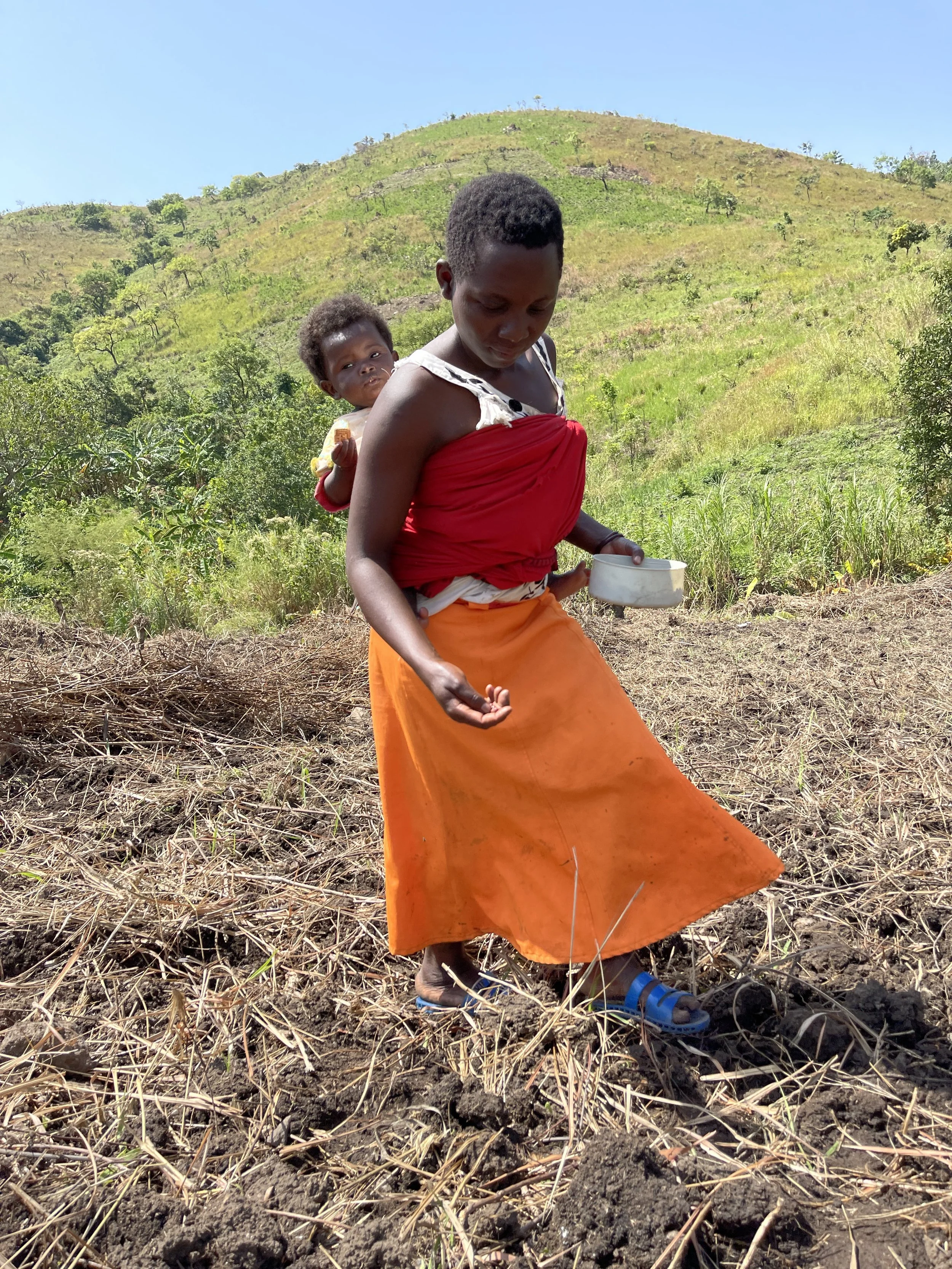 From the Forest to Farming