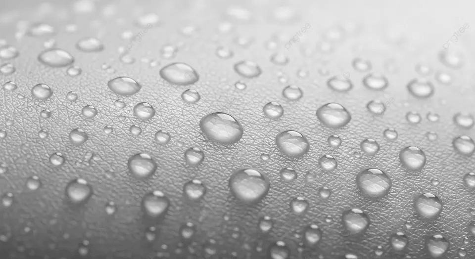 When Skin Drinks: TEWL, Hormones, Climate, and the Stories Our Barrier Carries