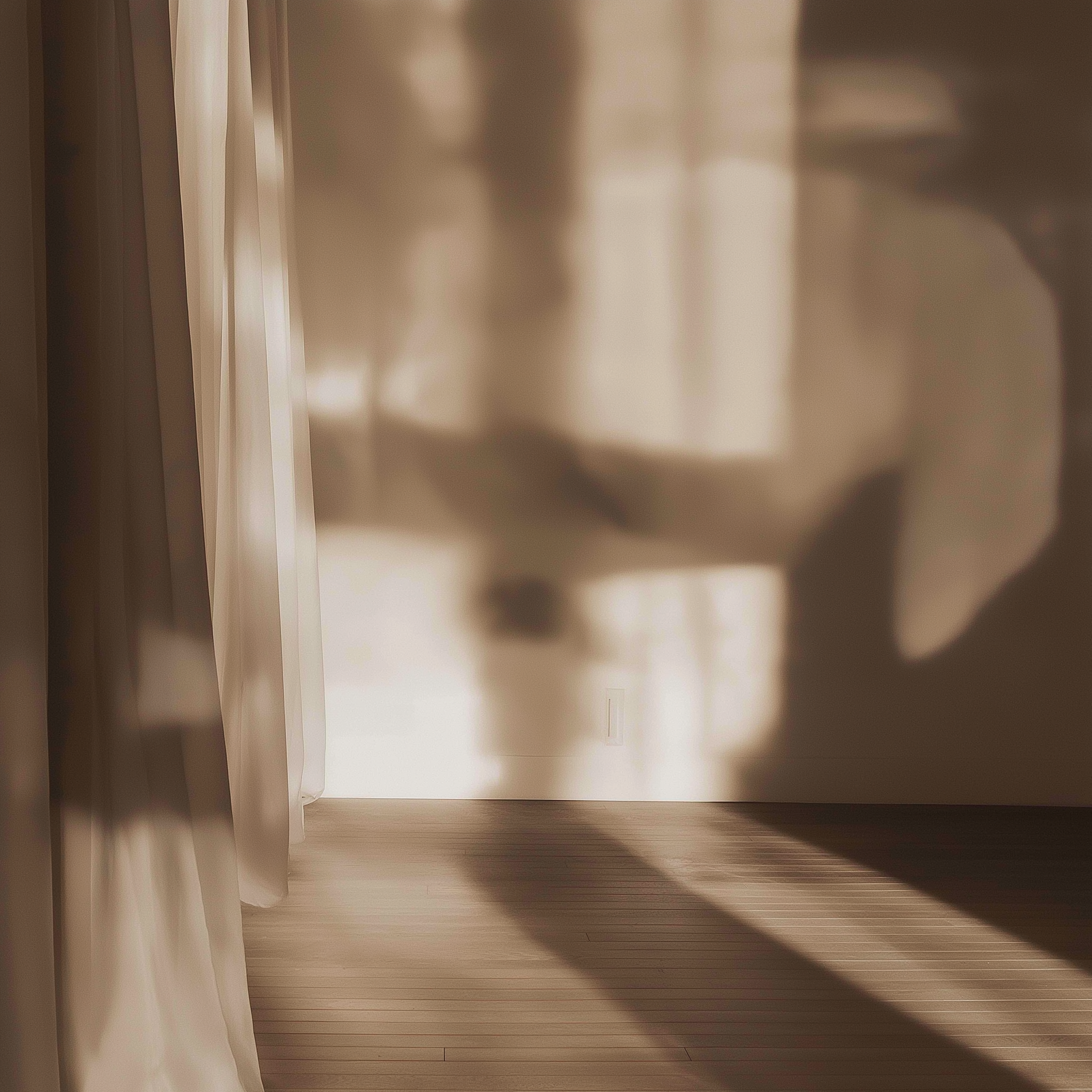 La Force Fragile : manifeste architectural