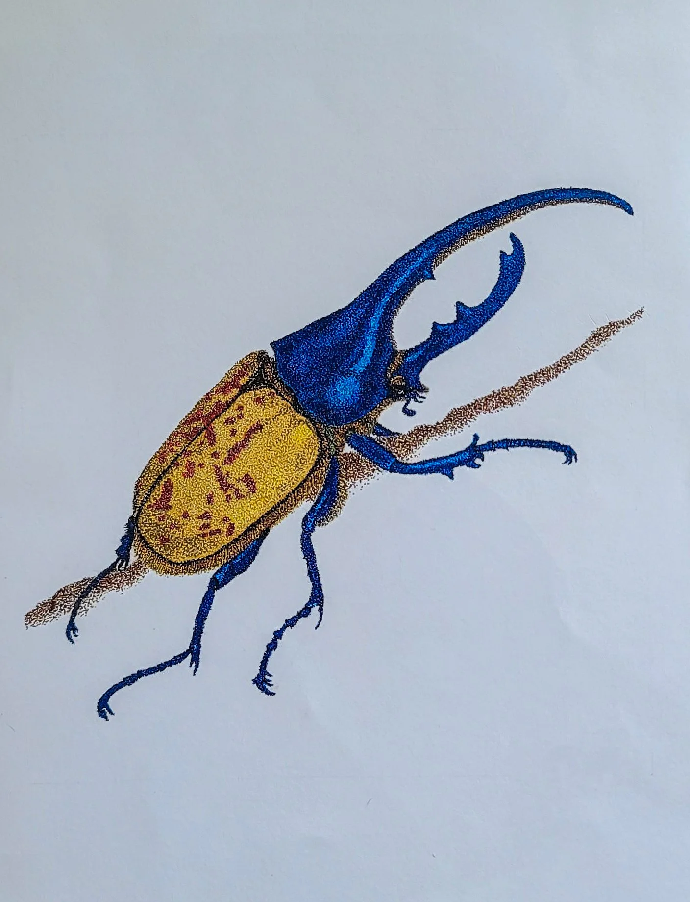 Wild Specta: Animals in Pointillism