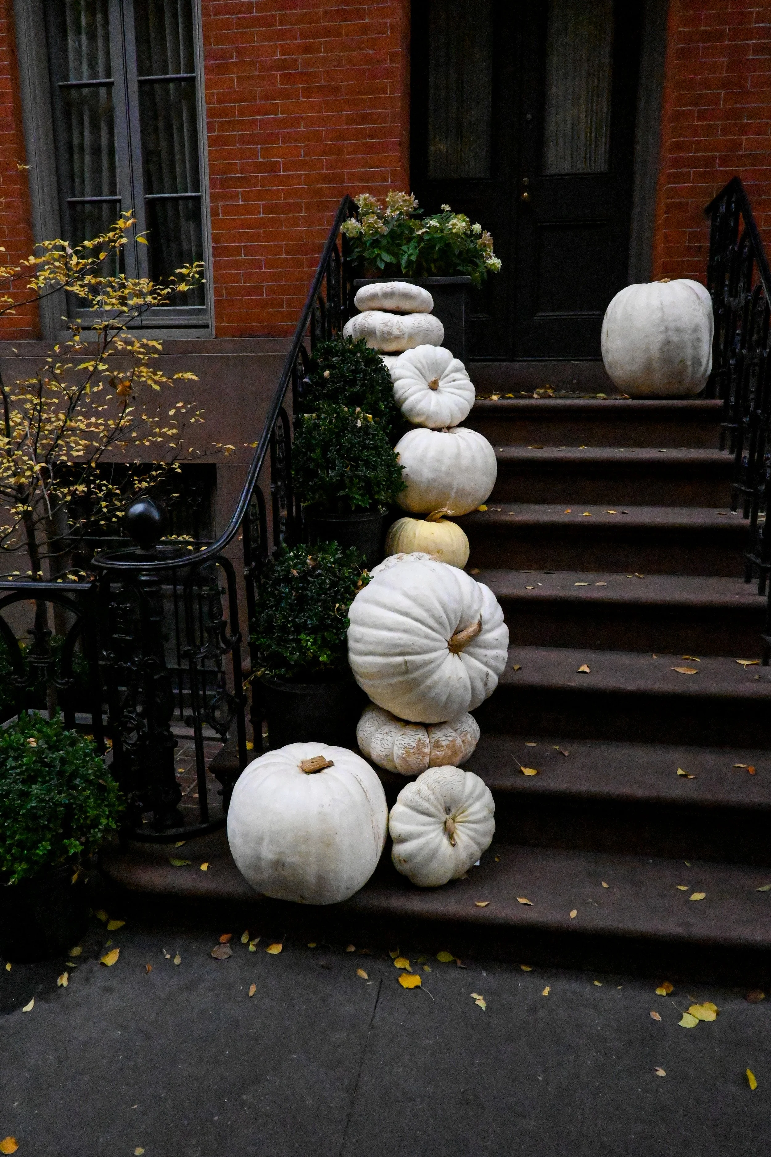 DSC_1405.jpg