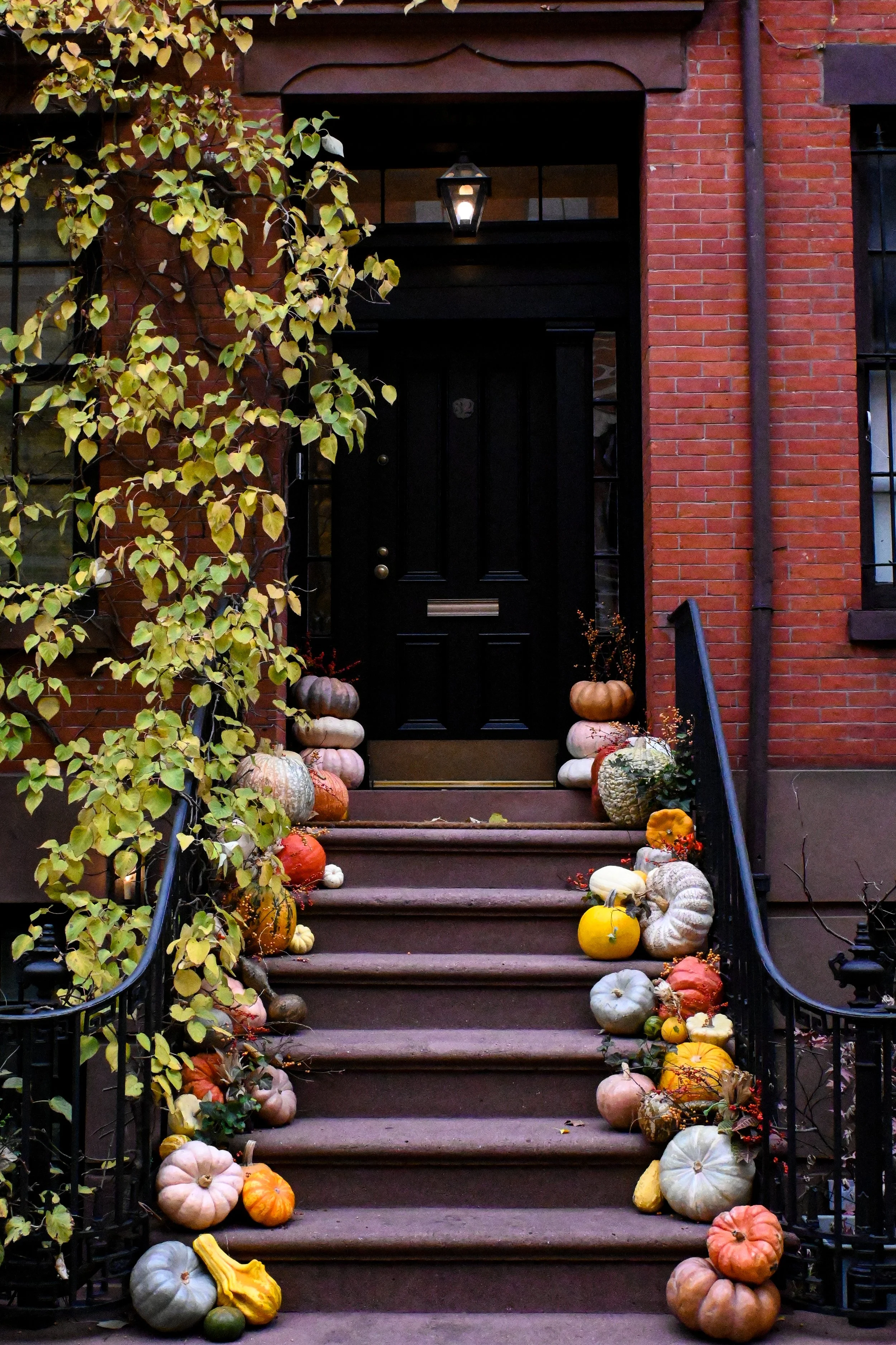 DSC_1396.jpg