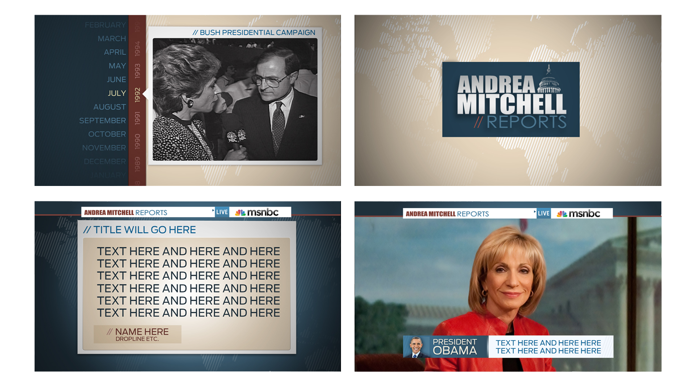 andrea mitchell.png
