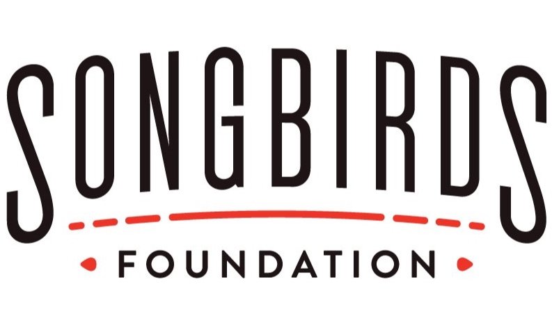 SB_Foundation_2color_whiteBG.jpg