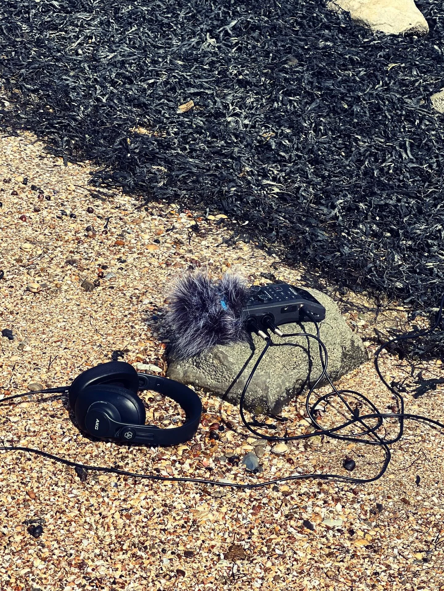 @pitt.jane leading the Hoo Sounds listening walk yesterday as part of @whose.hoo.project 

Her blend of audio-visual art, ecology &amp; walking was so beautifully delivered. Active listening exercises, underwater contact mics &amp; fantastic group ch