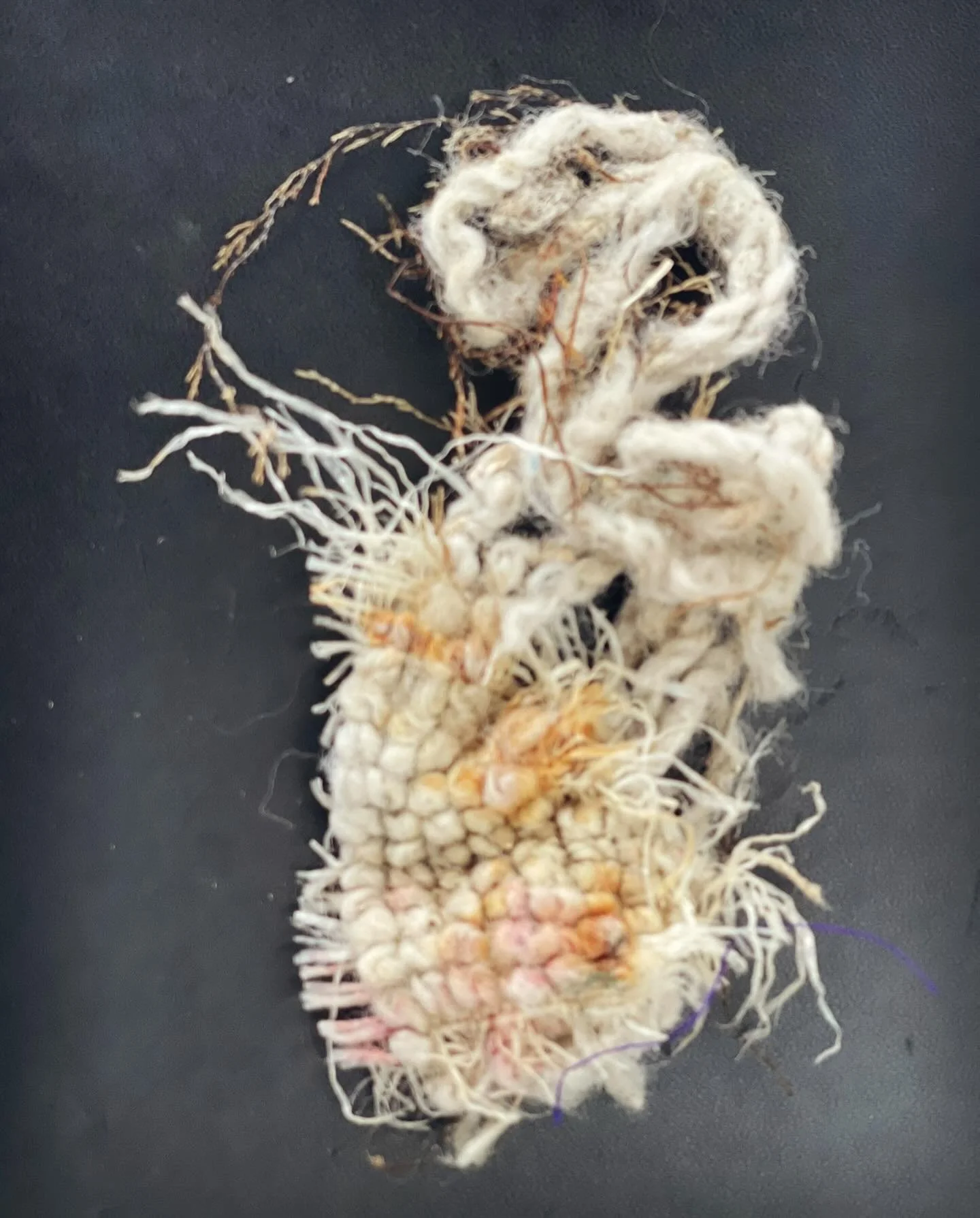 #stl25day4 &ldquo;Warp&rdquo;
#stl25day5 &ldquo;Found&rdquo;
@seam_collective #STL25 

Still playing catch up so woven 2 day&rsquo;s prompt into one post(see what I did there)

Found carpet fragment with seaweed woven through synthetic fibers with an