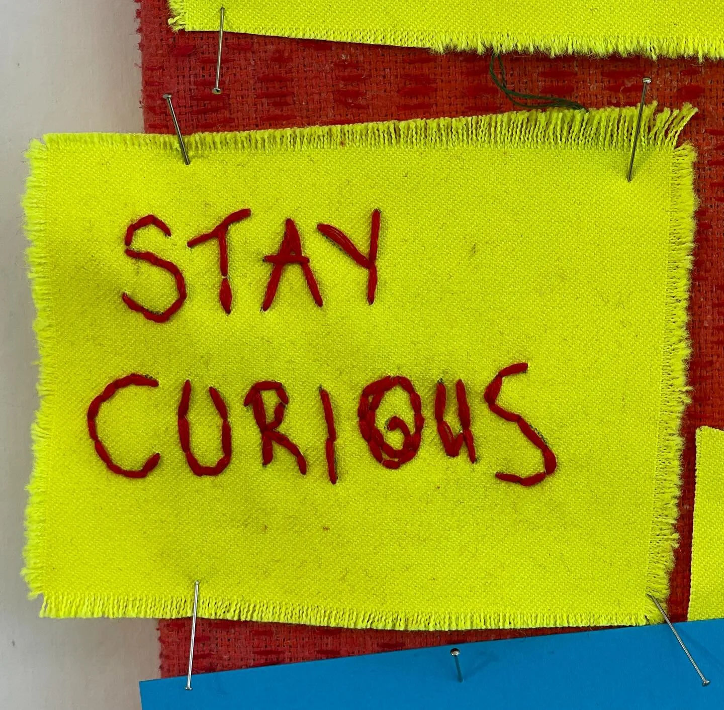 #stl25day7
@seam_collective 

Asking Questions

&hellip;stay curious!
