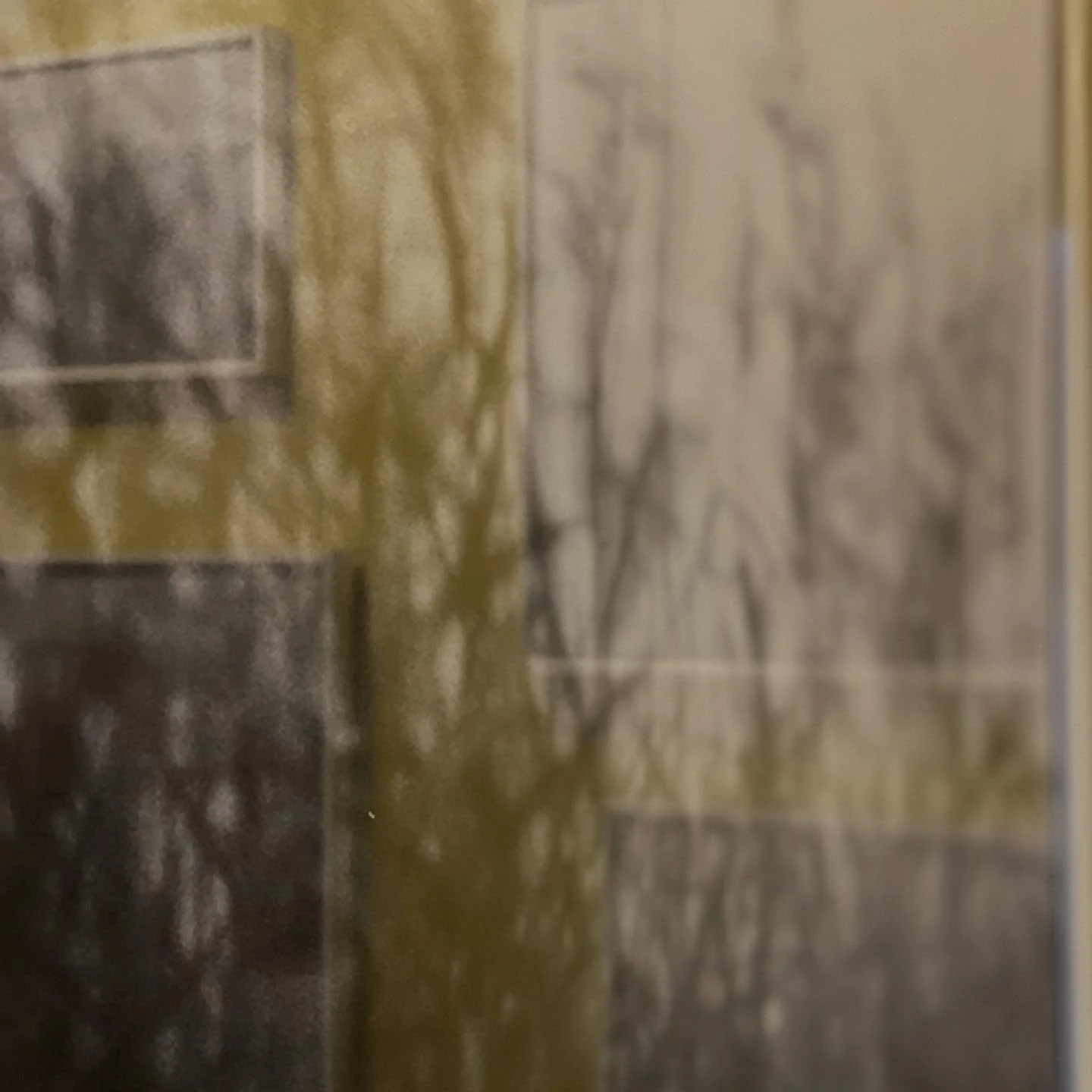 Edgelands is installed and ready to welcome you this evening.

Alternative photographs from both sides of the Swale, now open at The Grey Water Gallery.

Launch party tonight, 6-9pm - all welcome! 

Come visit us @pilotsheerness Micropub, 193 High St