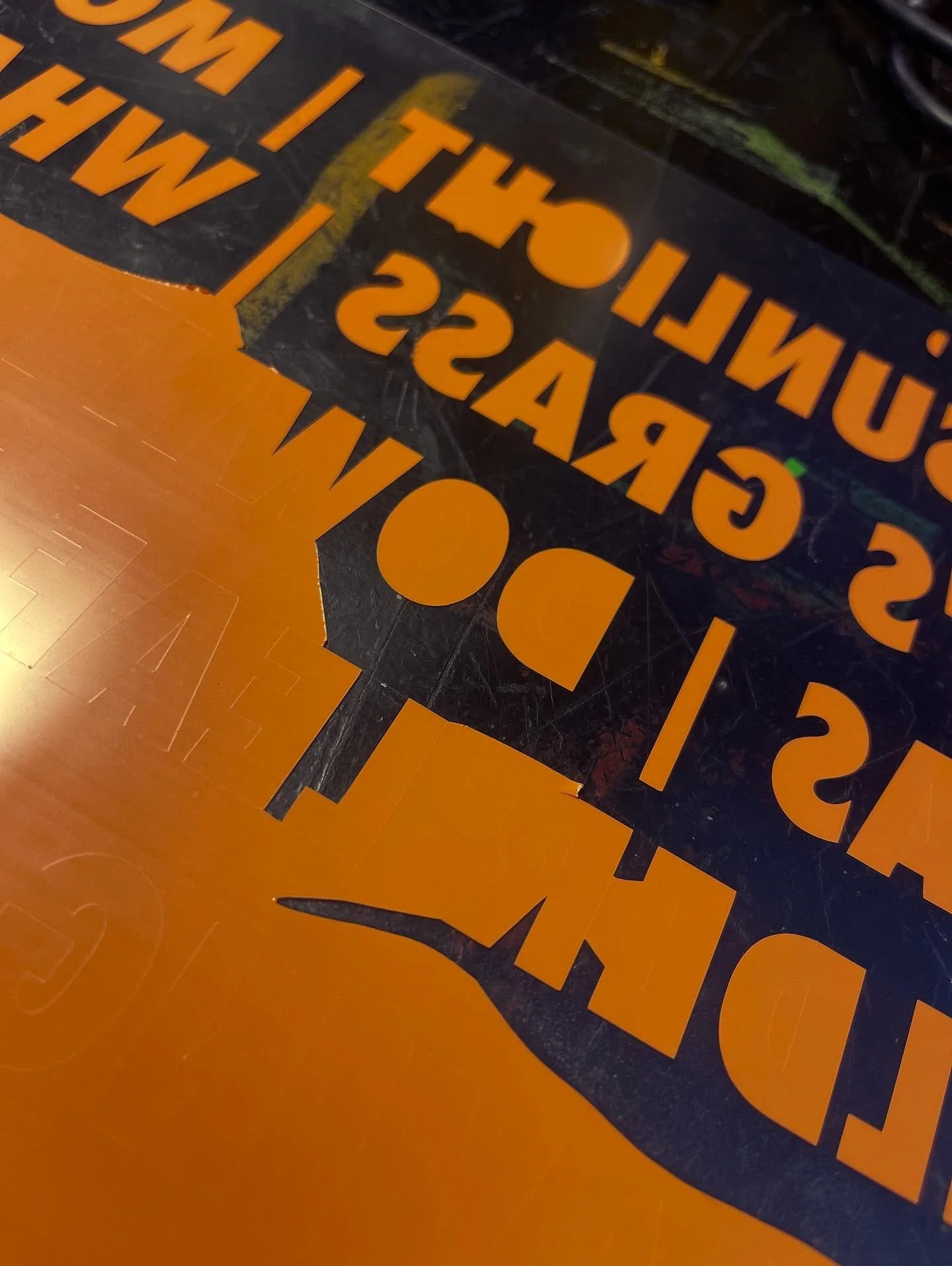 In the weeds (literally) creating Edgelads (ii) for tonight&rsquo;s opening of &ldquo;The Graduates 2025&rdquo; show @beachcreativecic , 6-8pm.