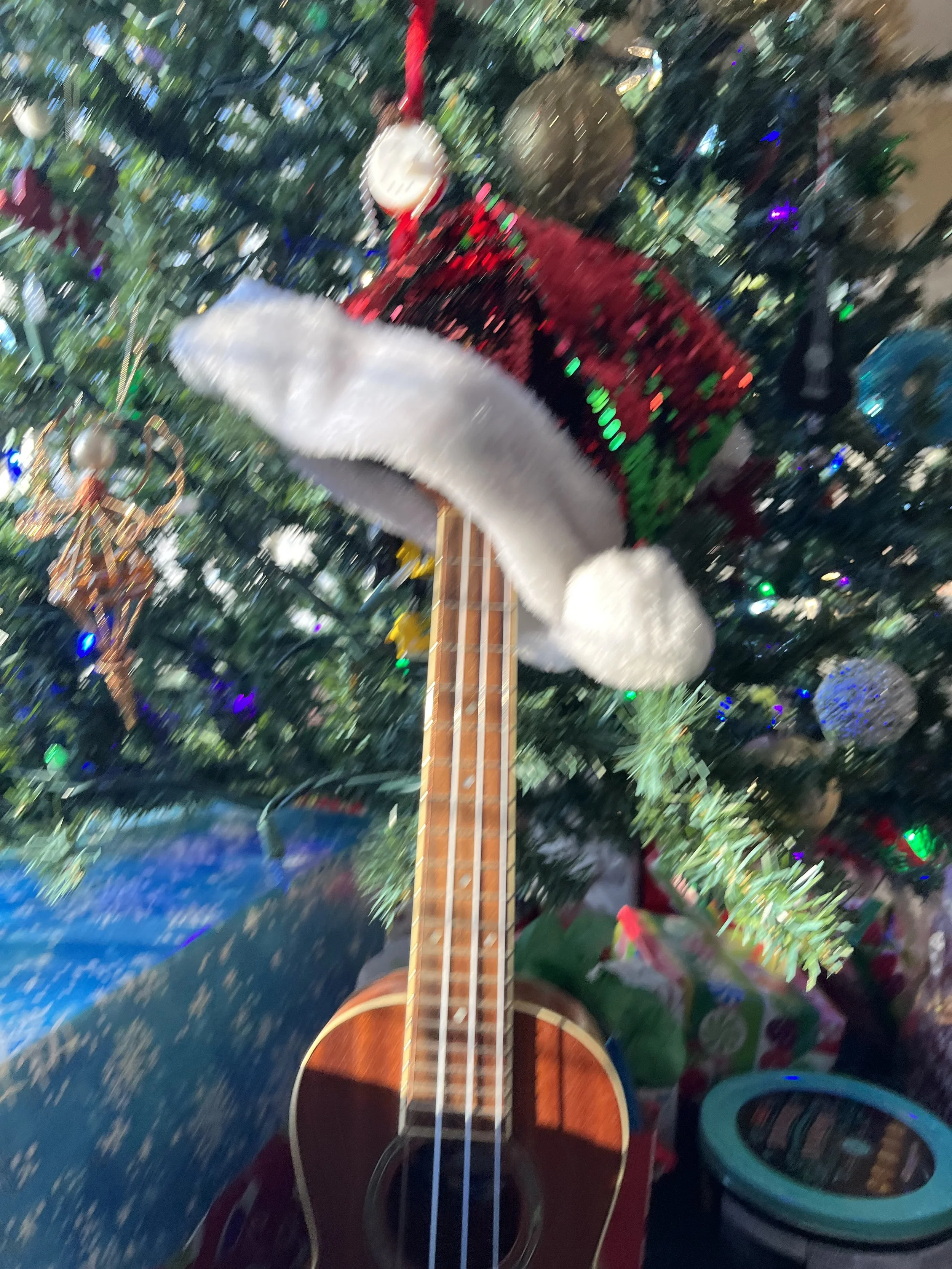 IMG_3745.jpeg