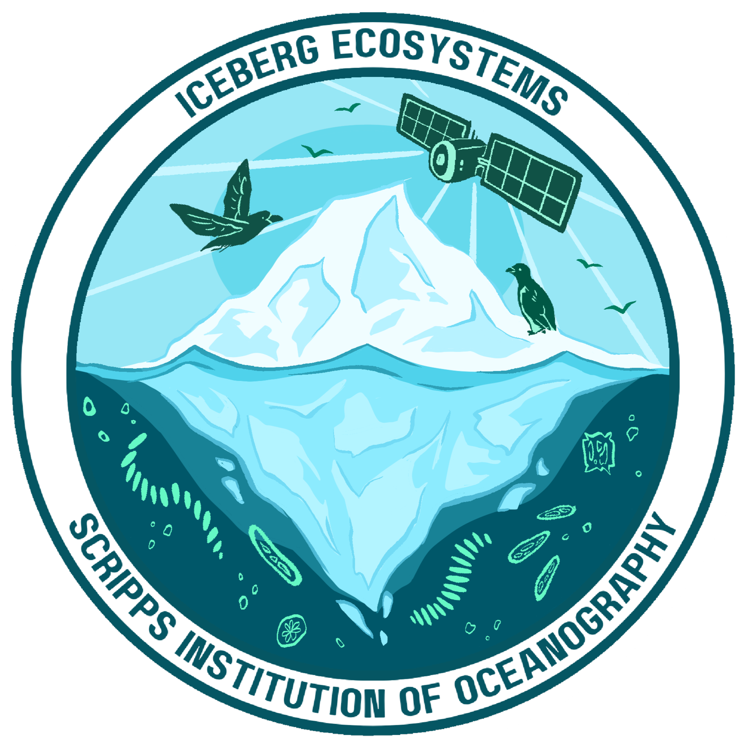 Iceberg Ecosystems