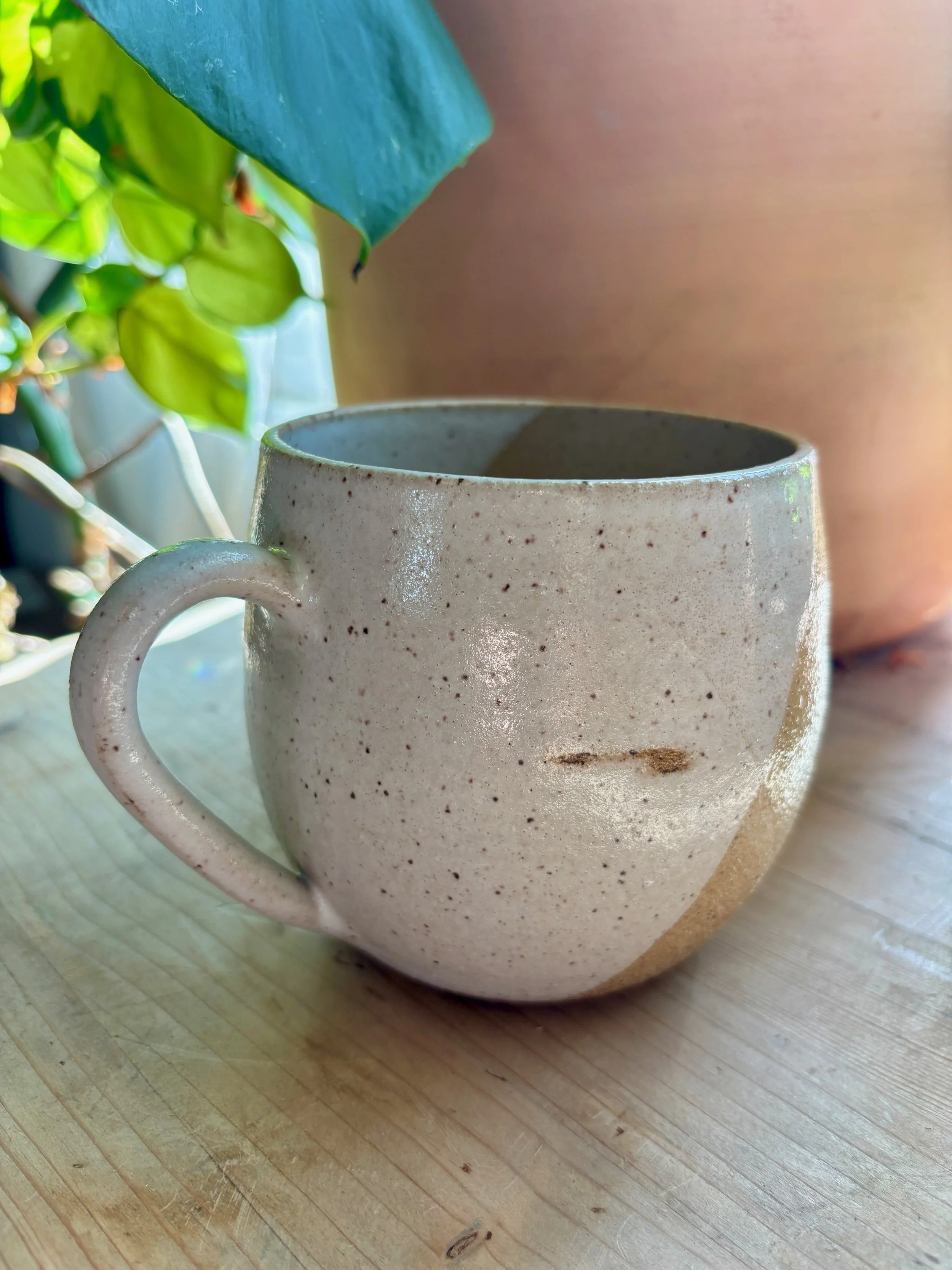 Clear Coast Mug