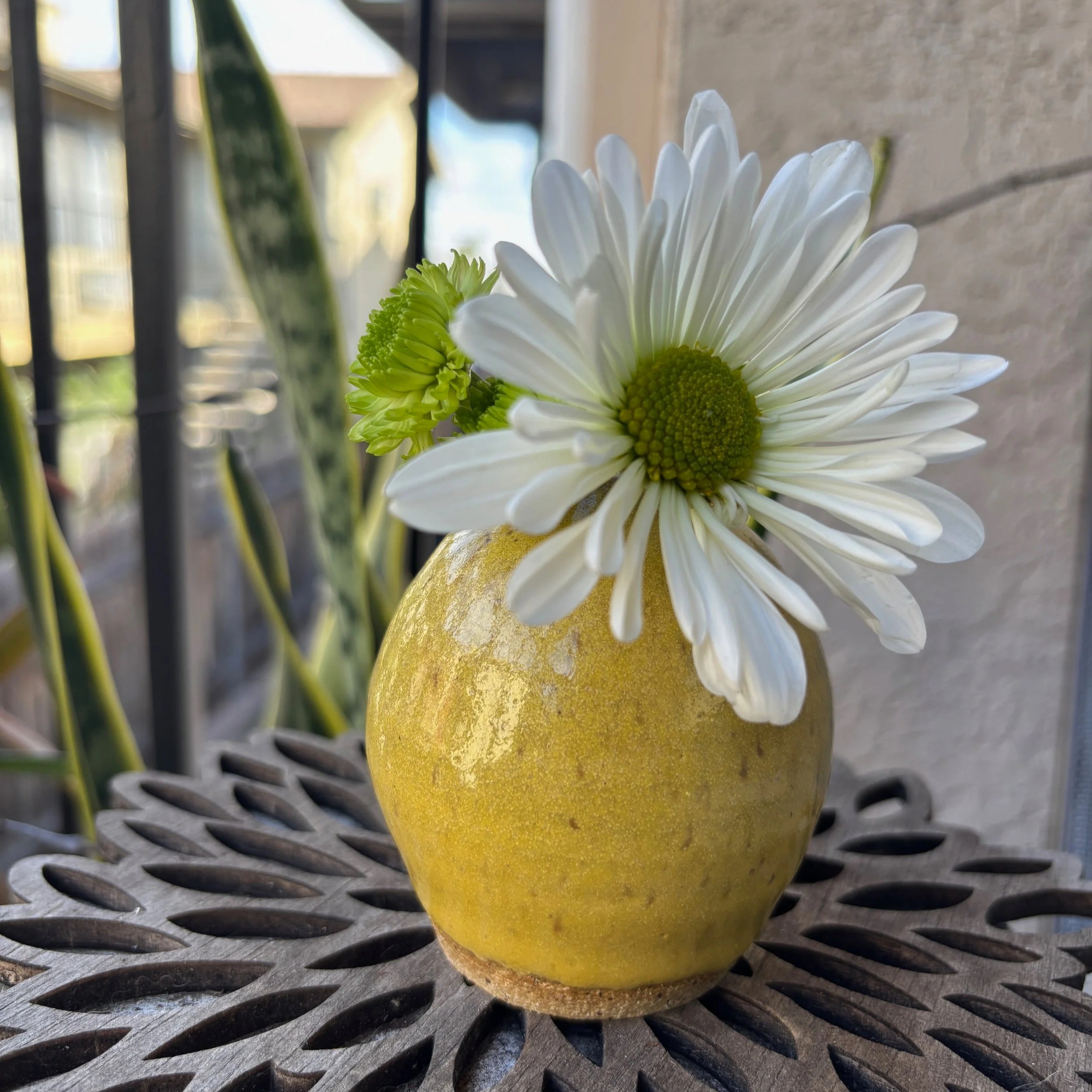 Daffodil+Bud+Vase+bulb+1.jpg