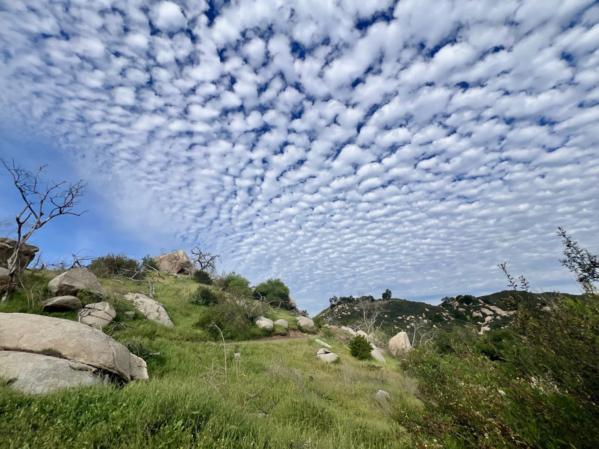 puffy clouds and green hills.jpg