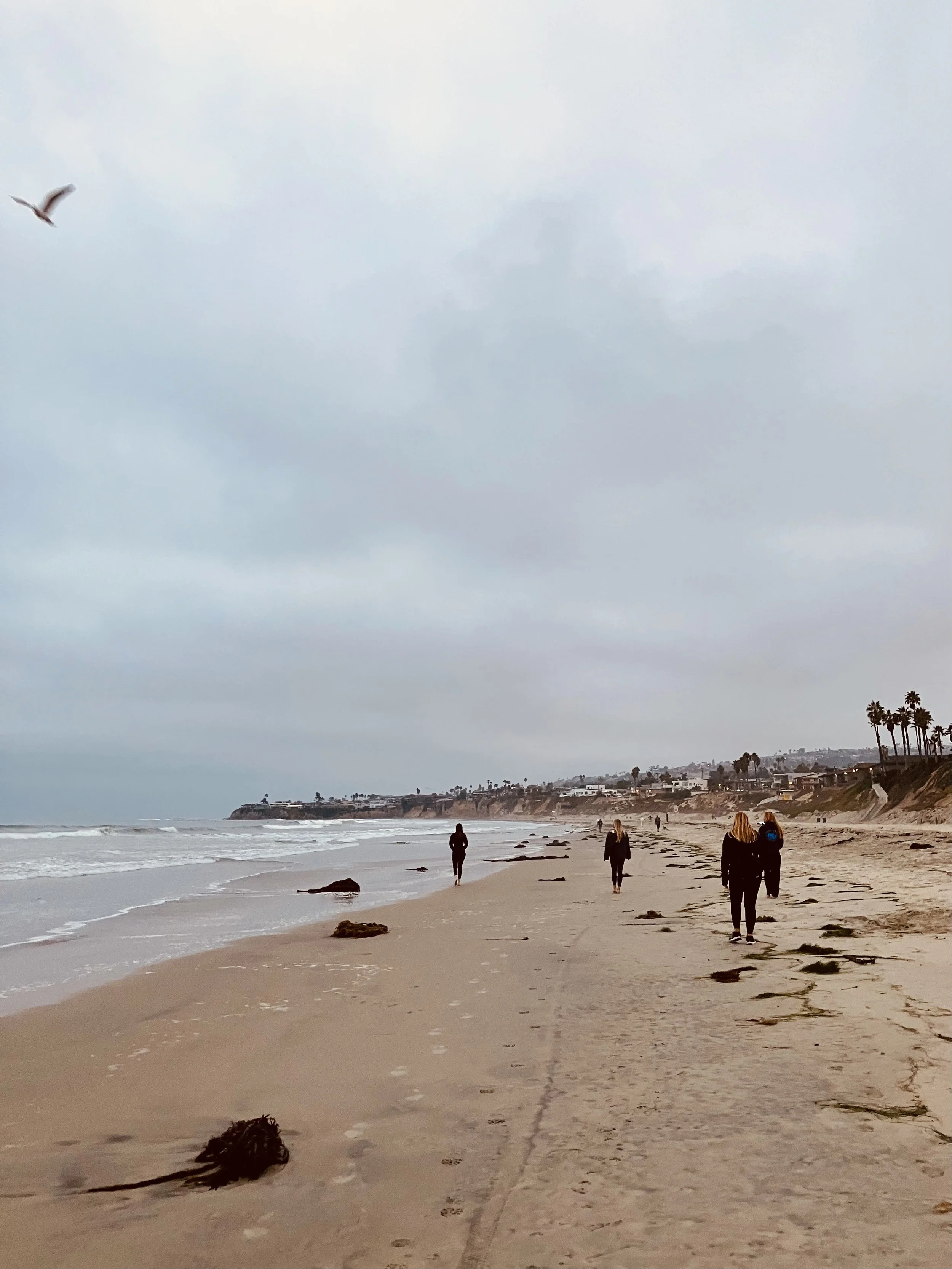 Oct group walking.jpeg