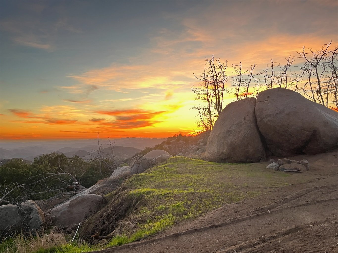 Sunset over rocky landscape with grass and barren trees