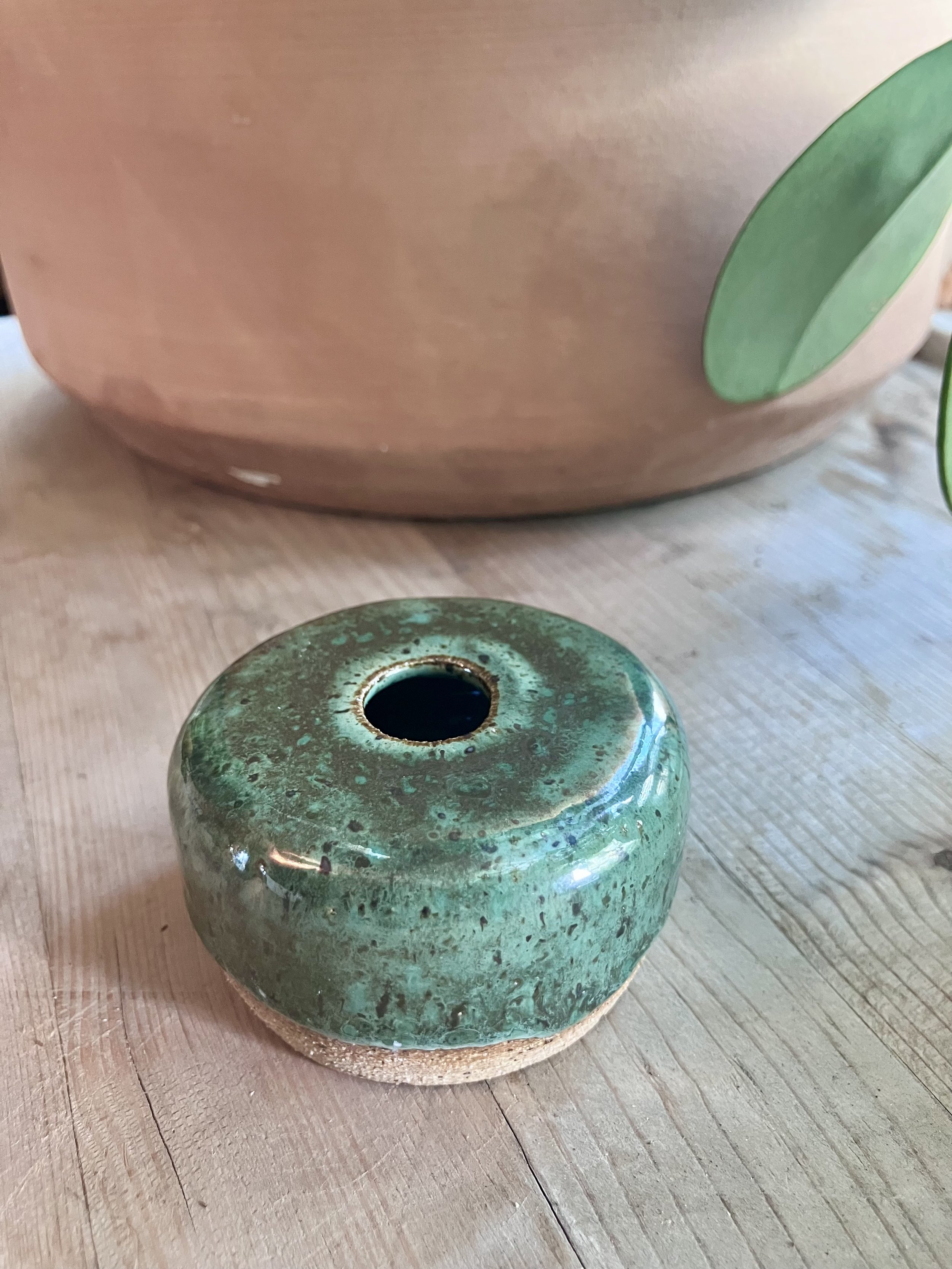 monstera bud vase.jpeg