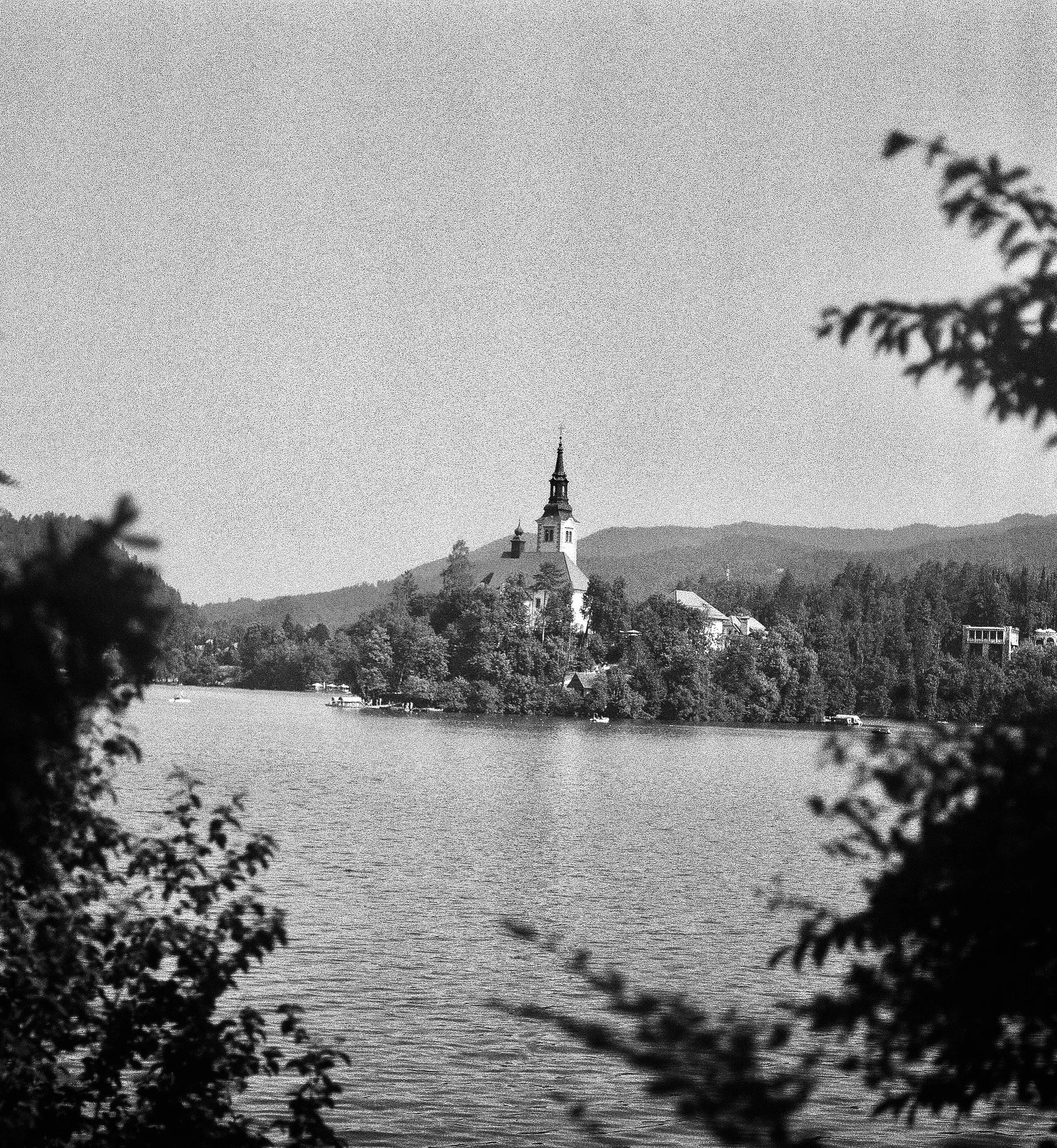 castletrees_slovenia.jpg