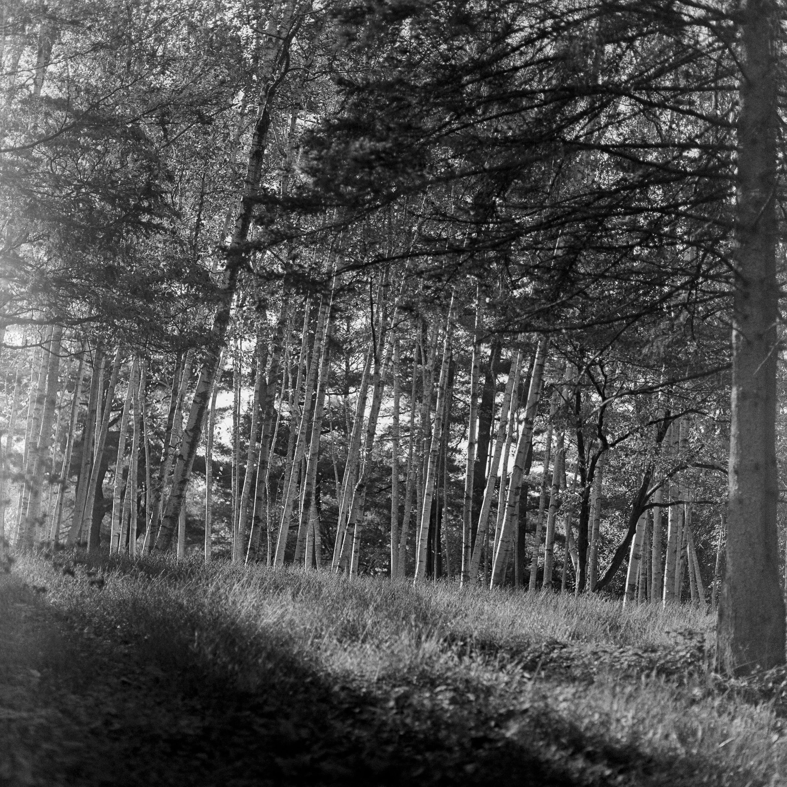 jpegsuploadforwebiste _4.JPG