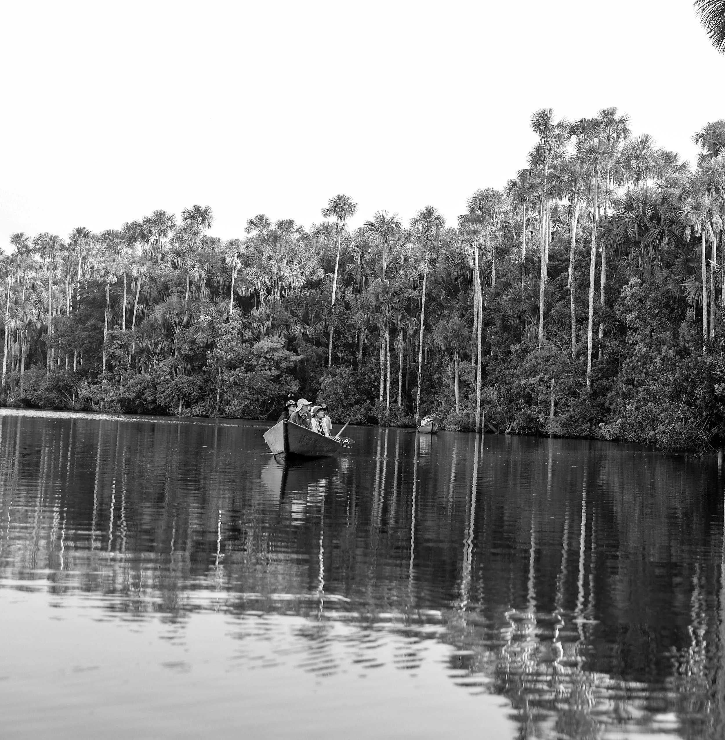 jungle I  edited _208.JPG