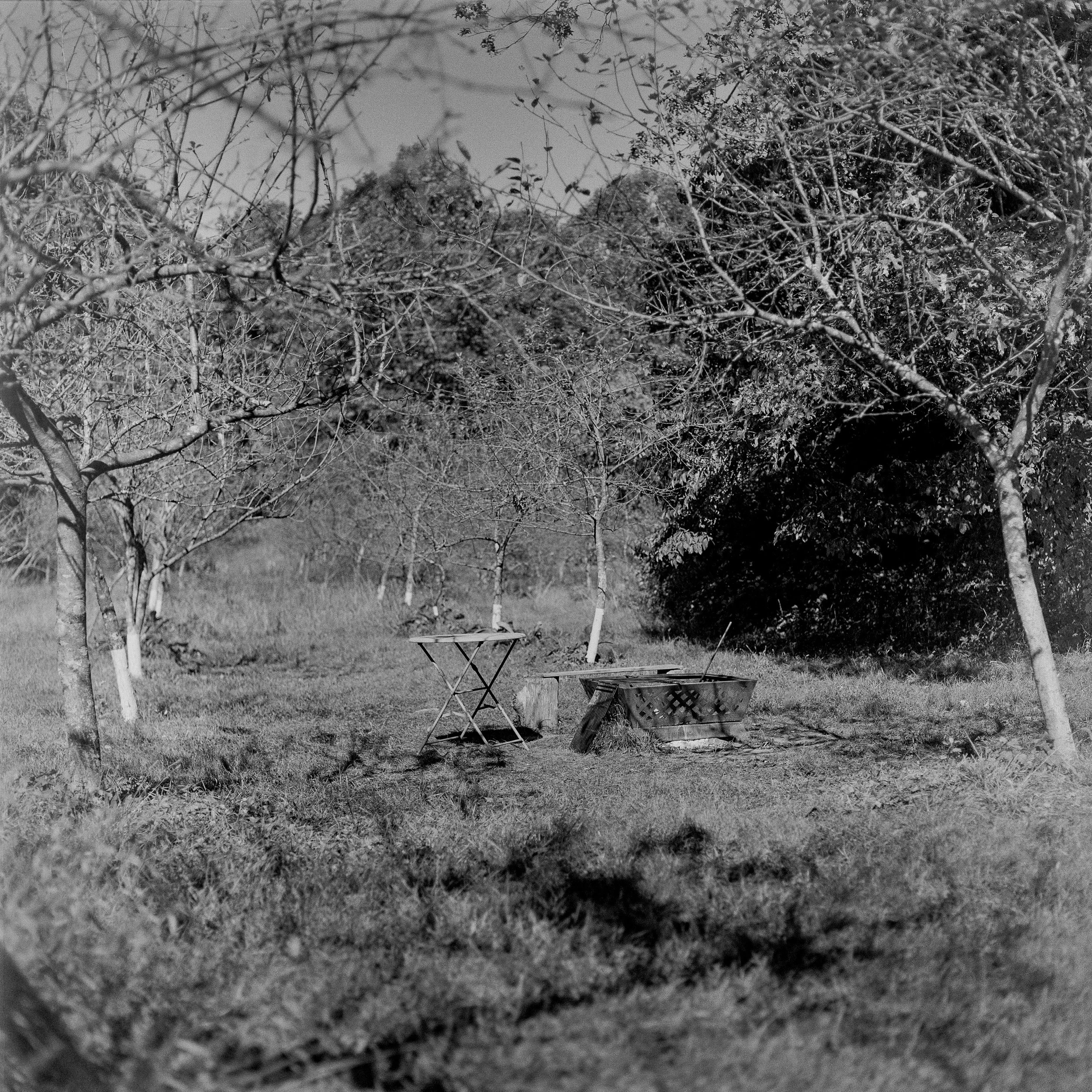 jpegsuploadforwebiste _2.JPG