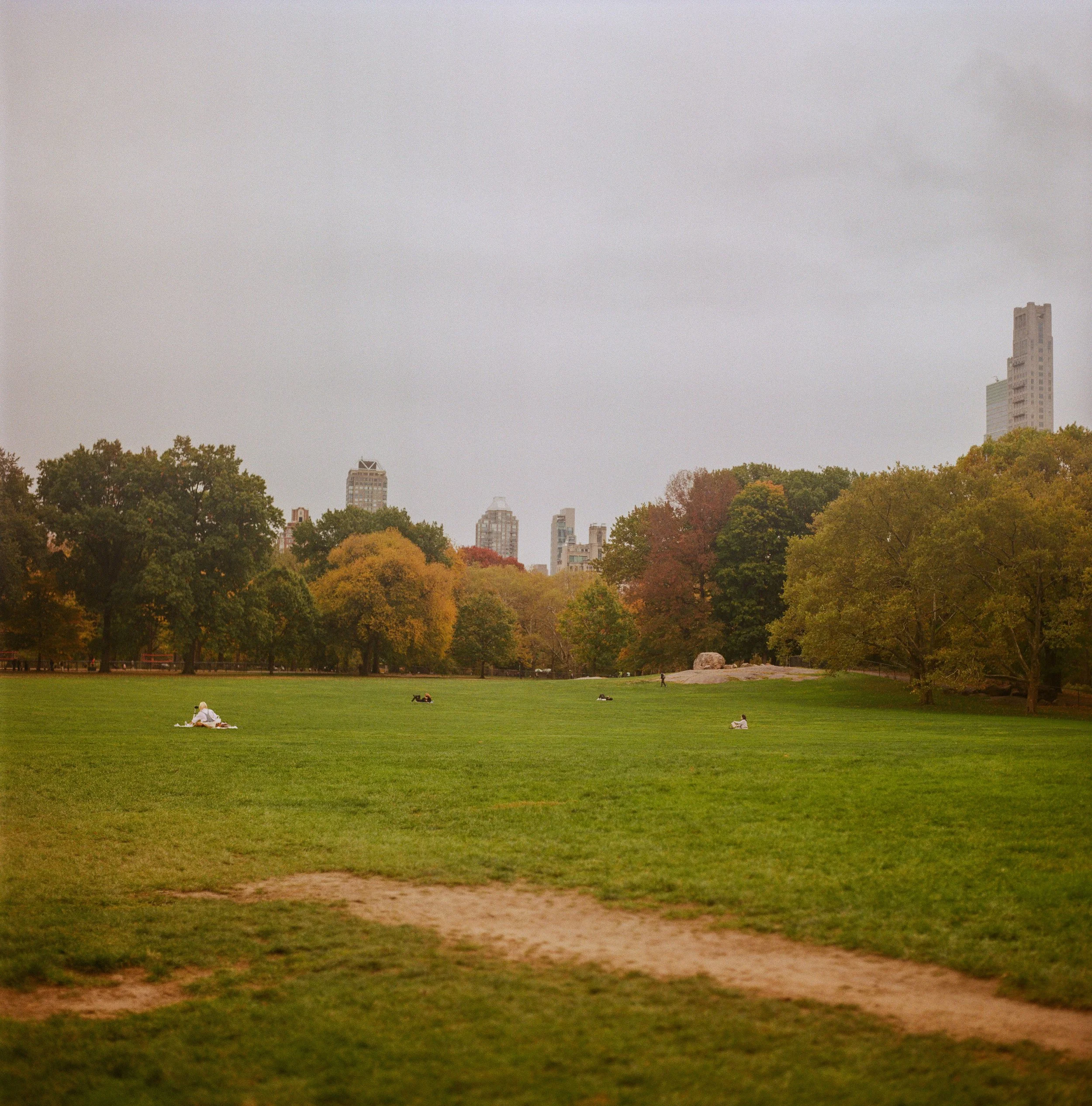 CentralPark_4.jpeg