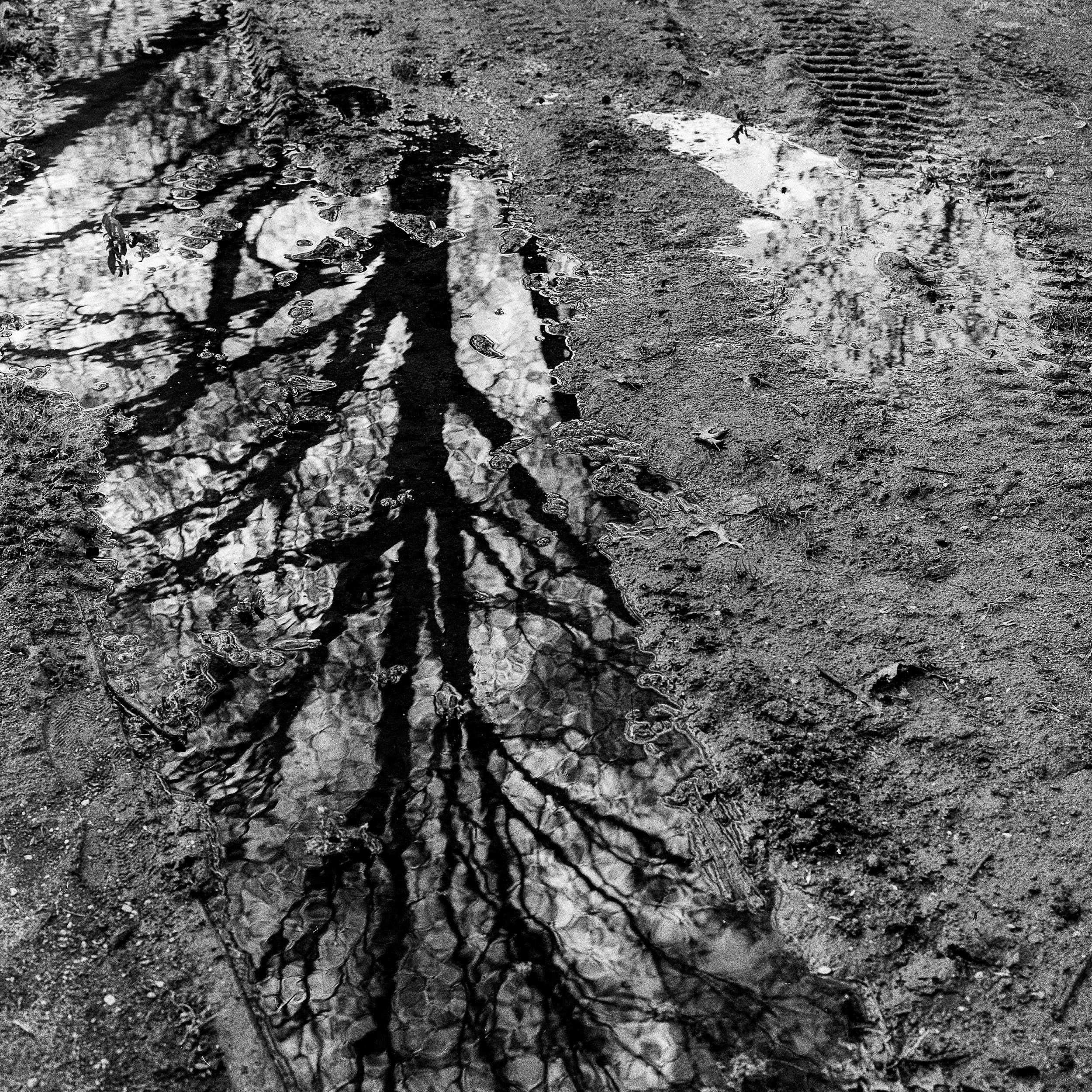 Edited studio highland park _11 copy.jpg