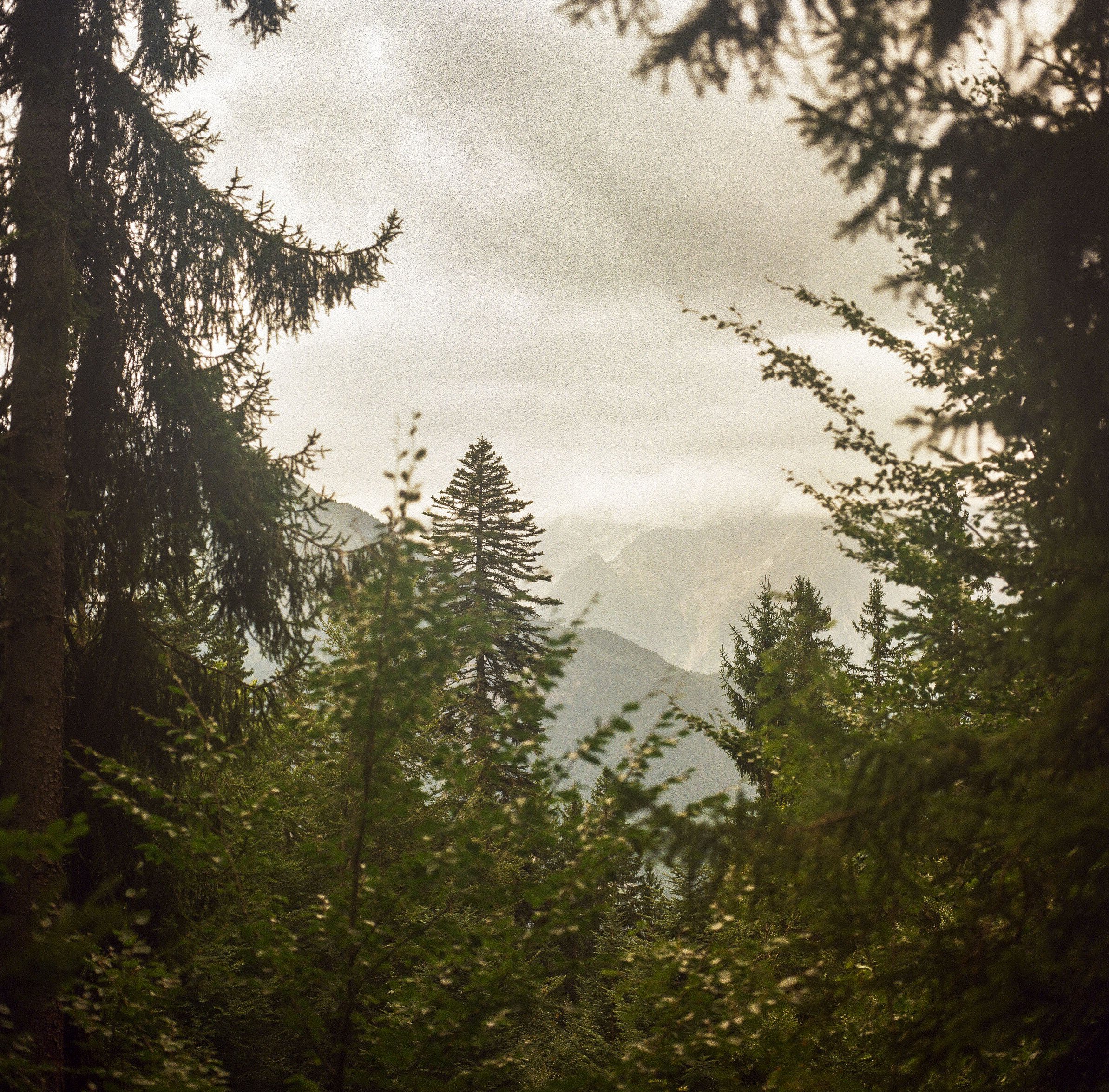 Lac_Vert3_6 copy.jpg