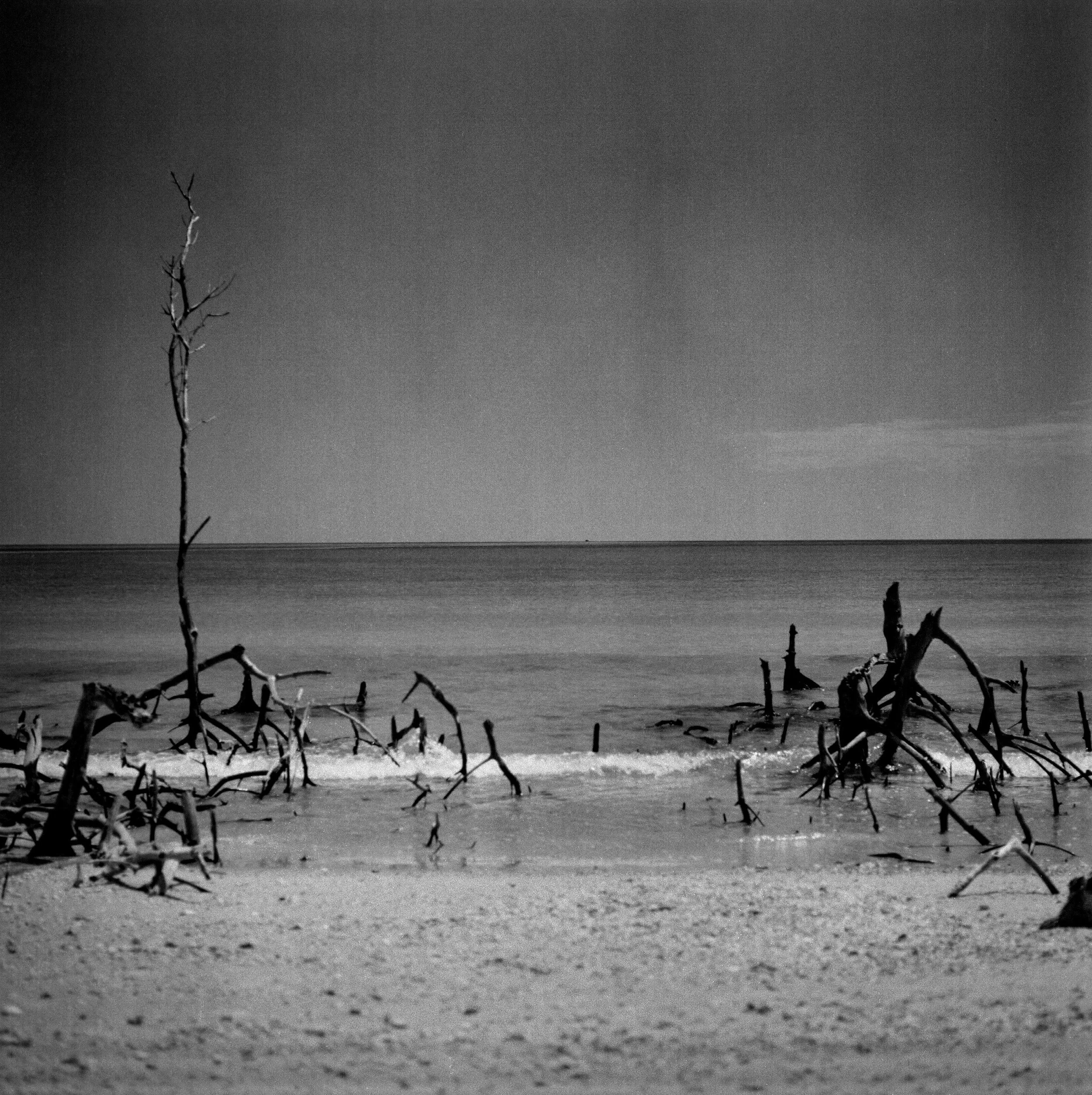 wesbite sample 1 .jpg