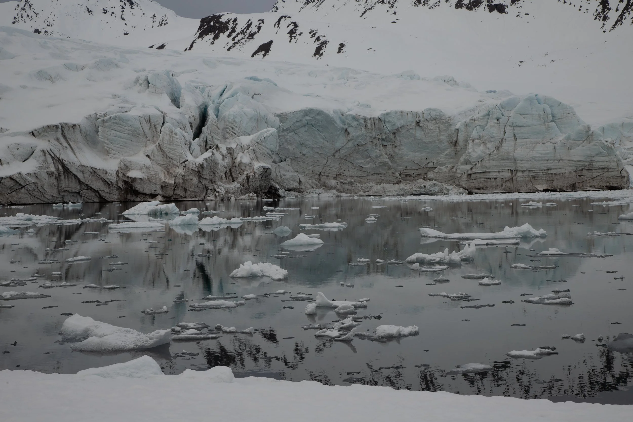 Svalbard day 3 _26.JPG