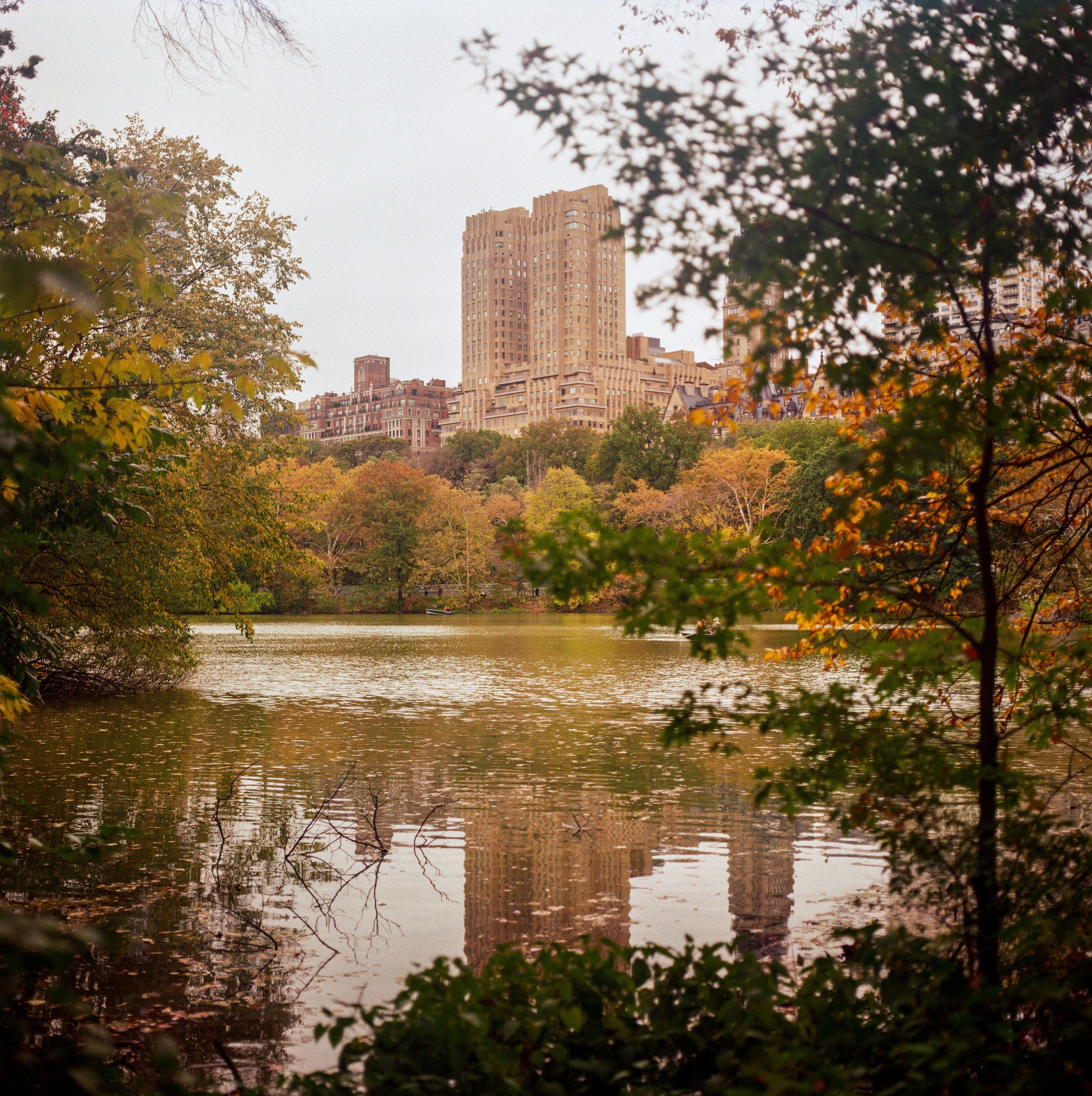 CentralPark_5.jpeg