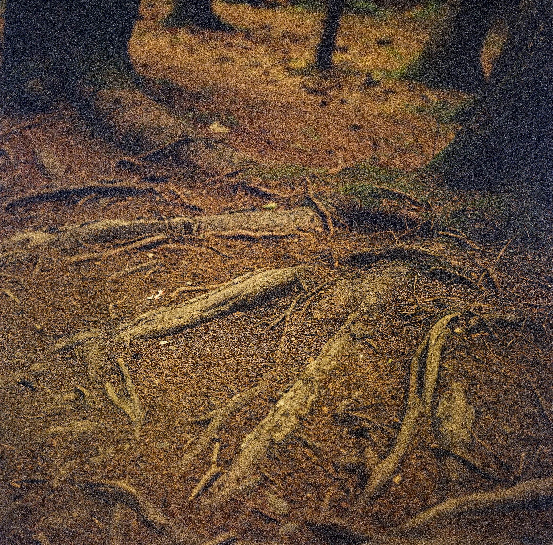 Lac_Vert2_8 copy.jpg