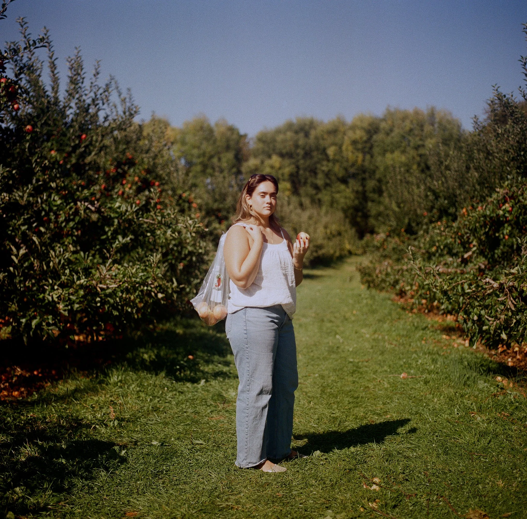 Apple Picking