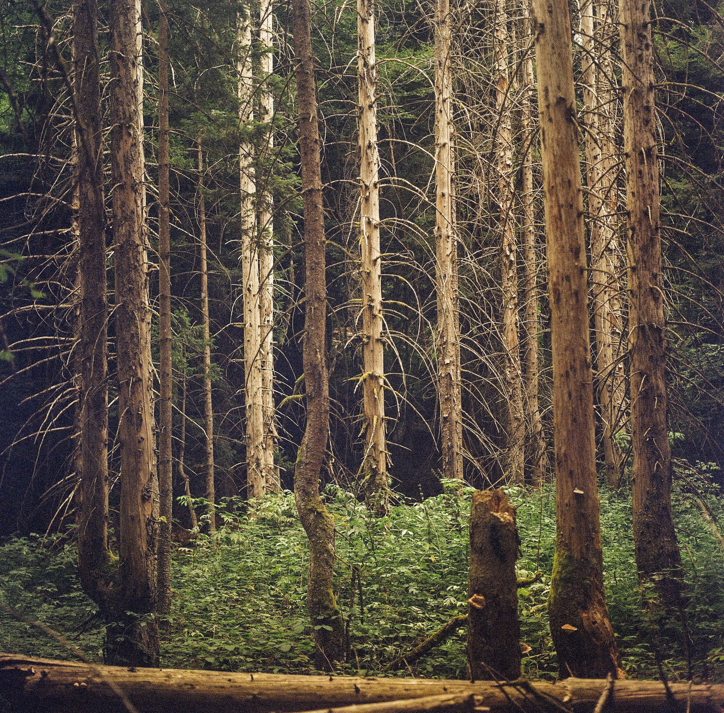 Lac_Vert2_9 copy.jpg